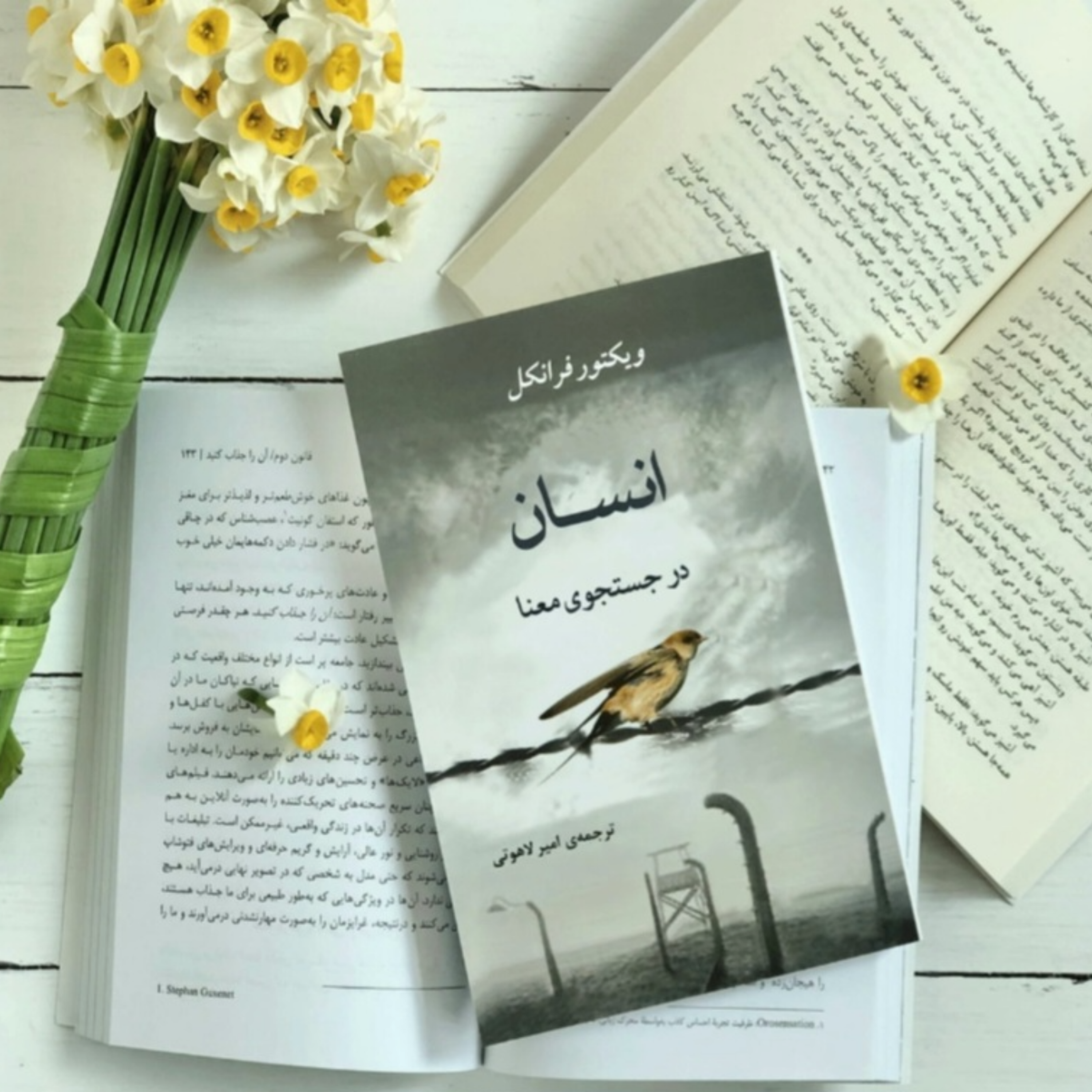 کاور کتاب انسان در جستجوی معنا (خلاصه قسمت اول)