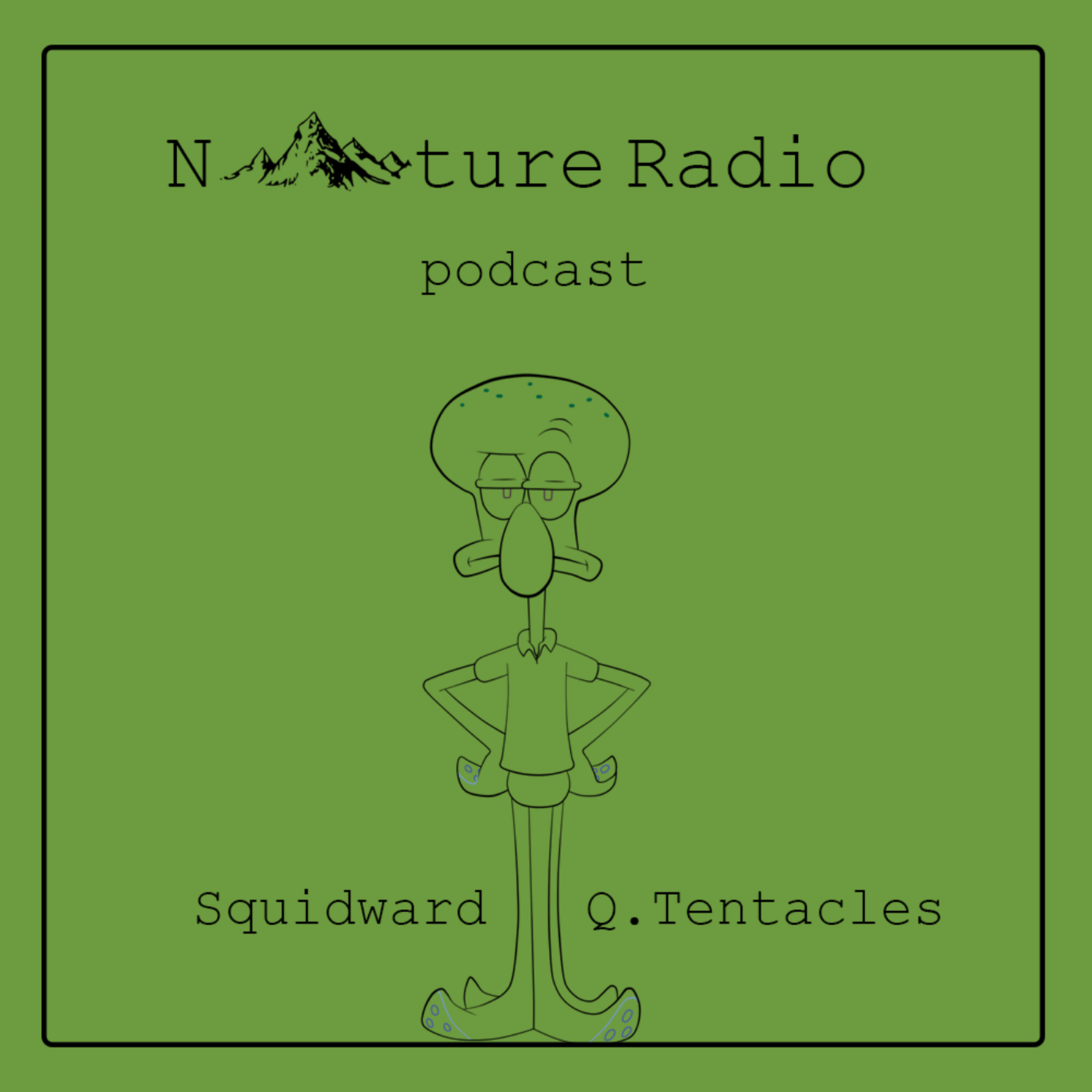 کاور Squidward Q,Tentacles / شاخک های اختاپوس E10