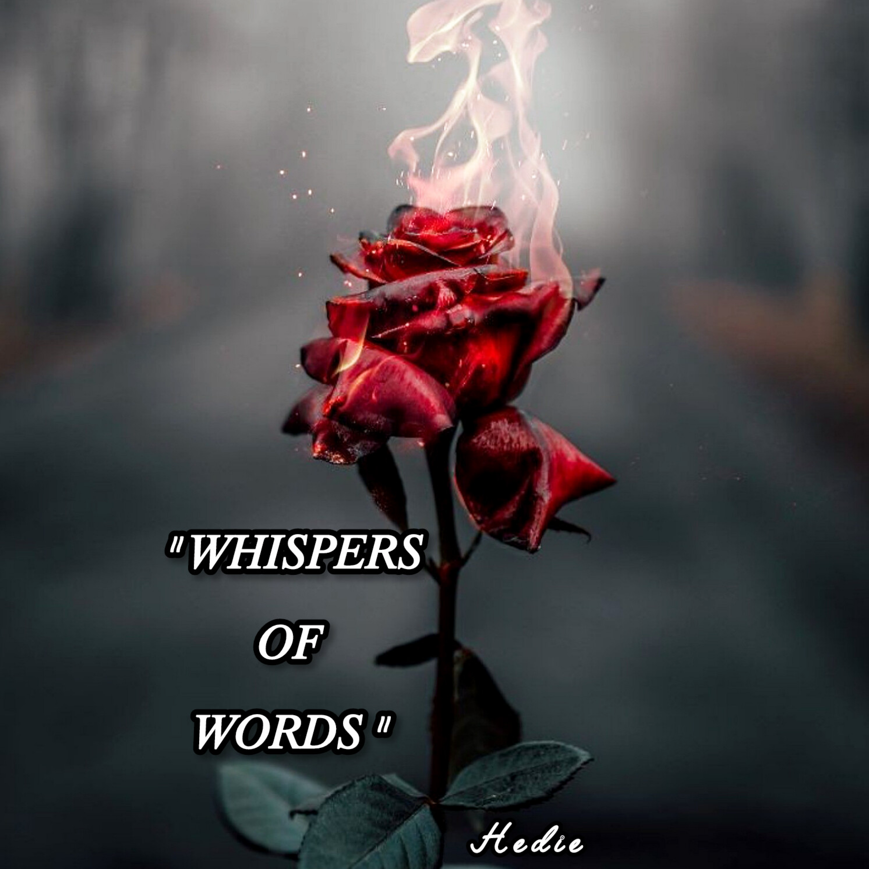 کاور نۨمَــڪــ نَشـناٰسۜ
