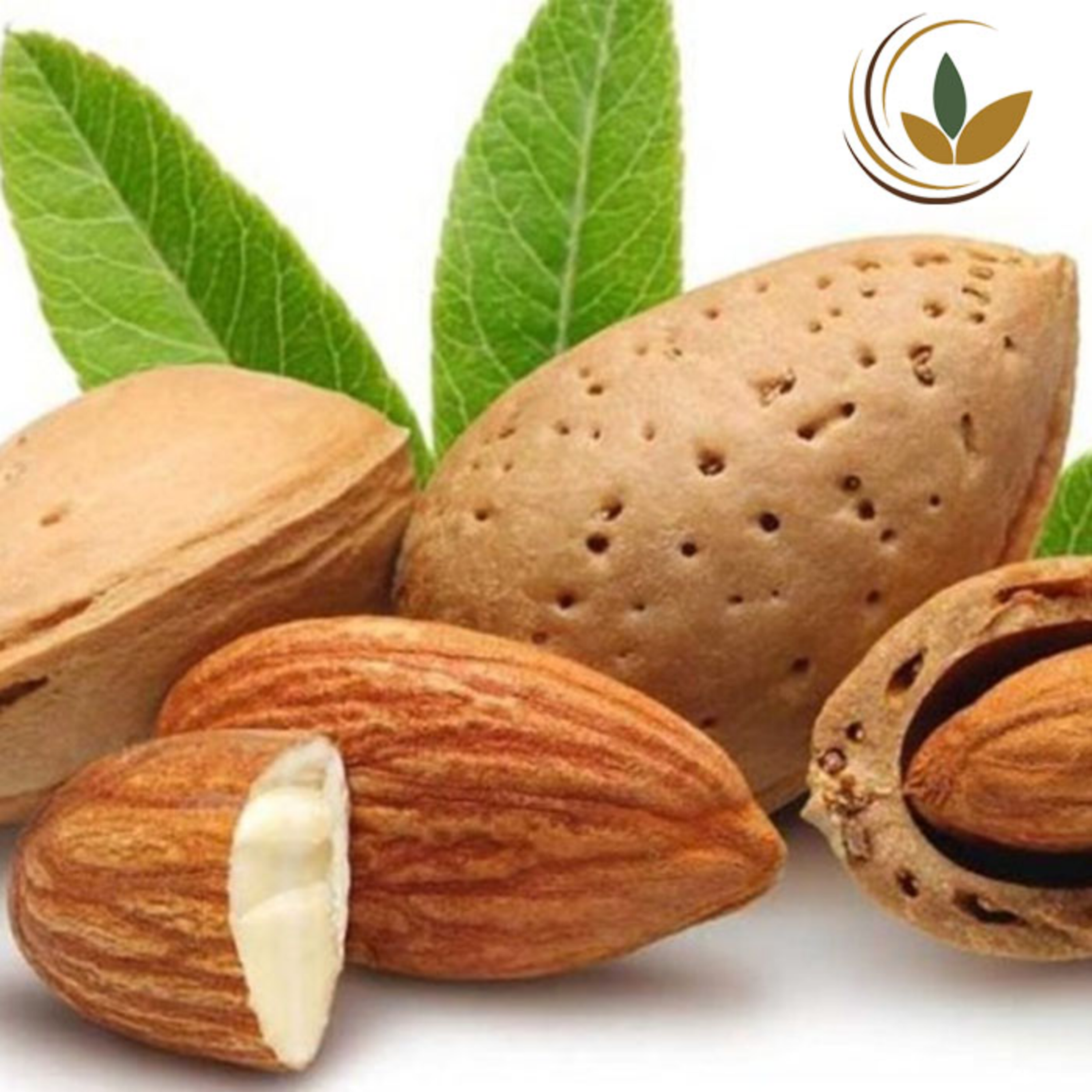 کاور من نمیتونم خام گیاهخواری کنم!