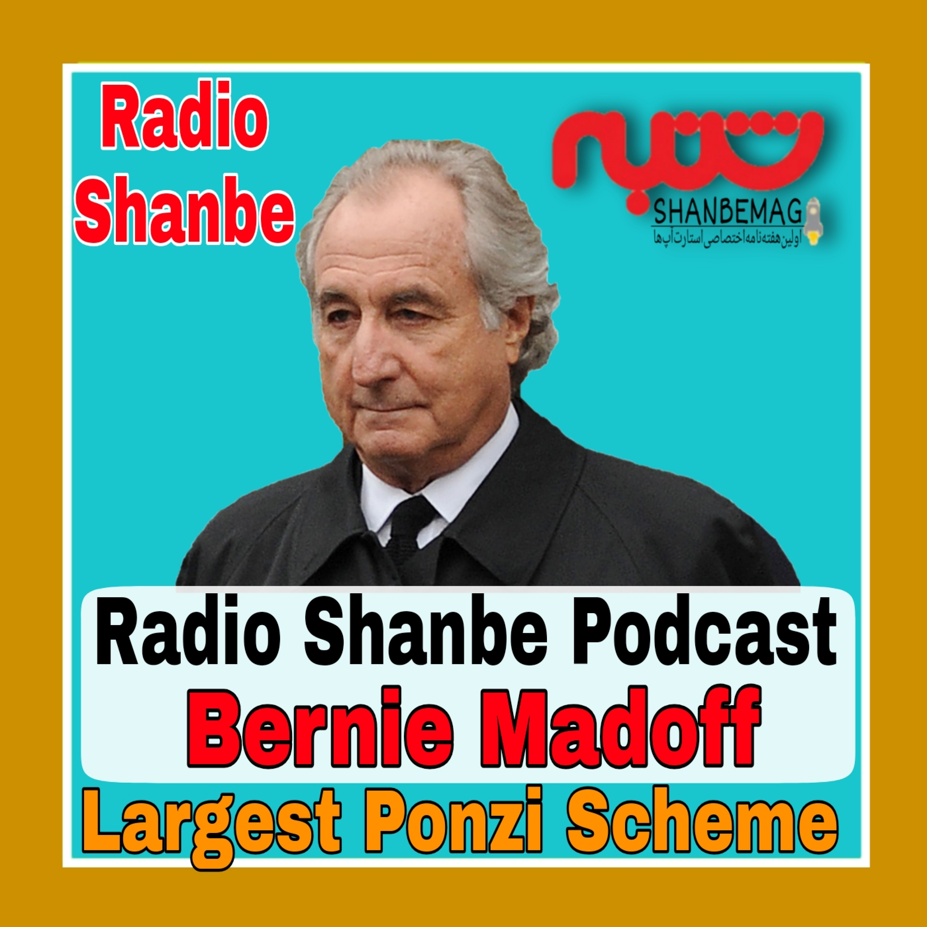 Largest ponzi scheme in history episode artwork
