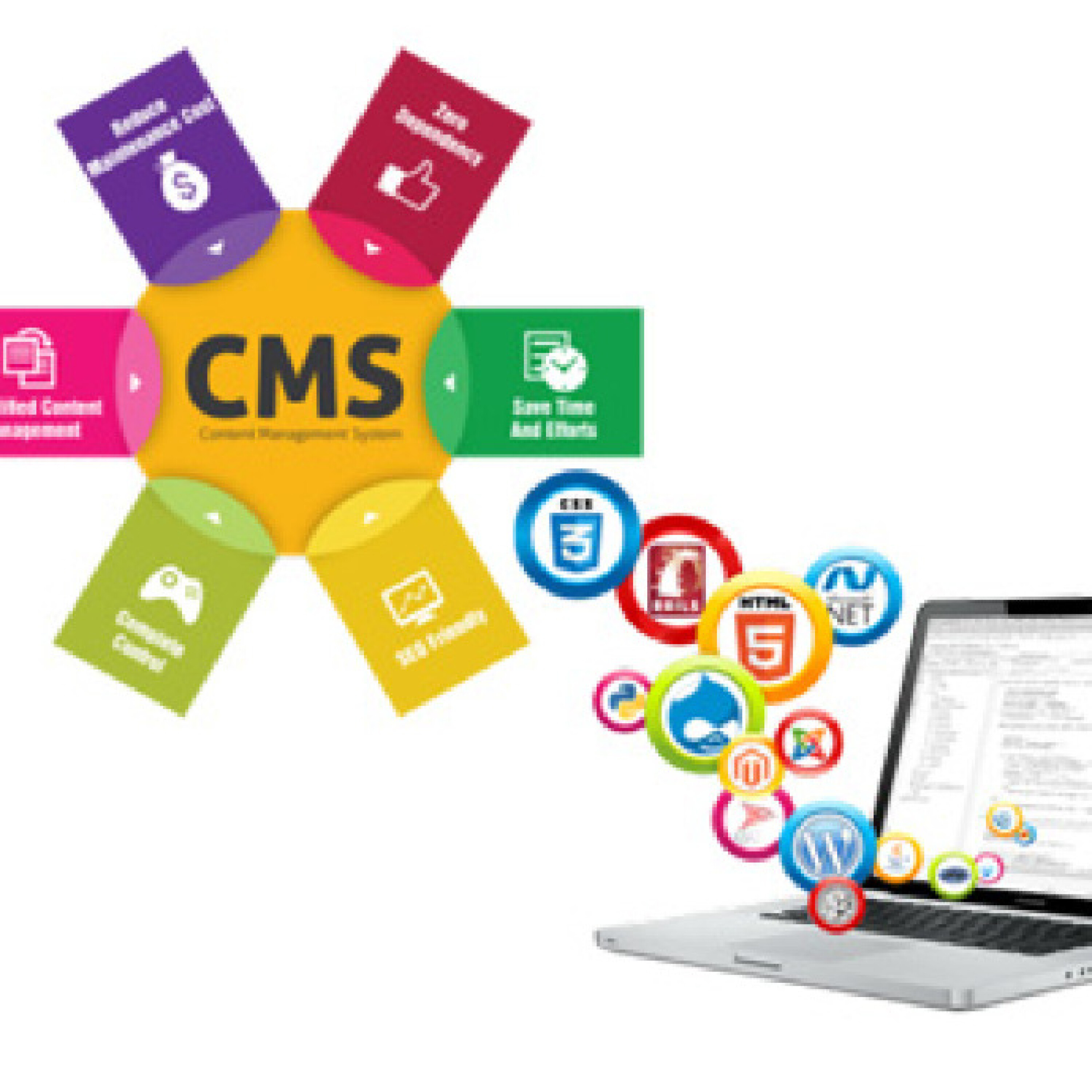 cms های طراحی سایت