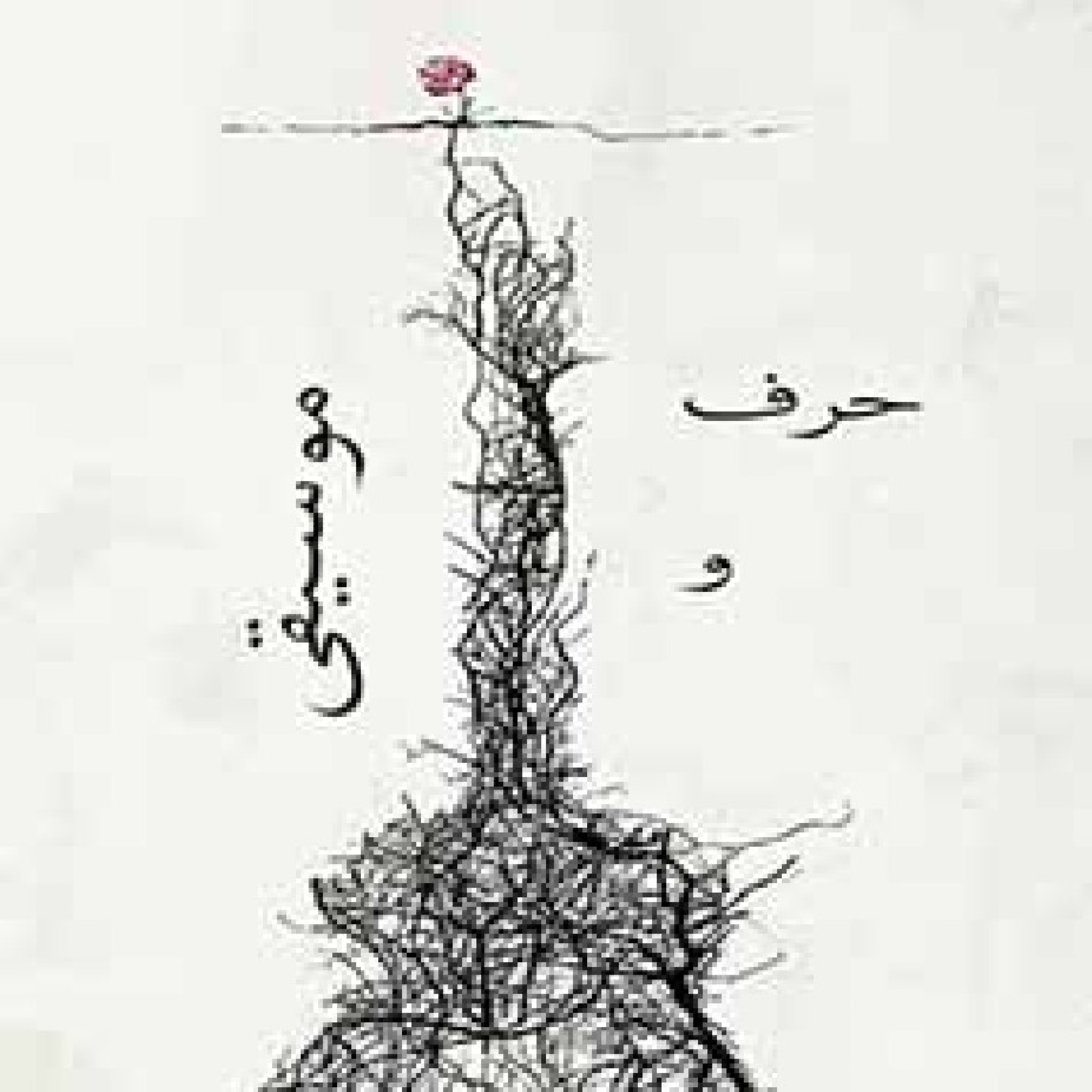 حرف و موسیقی شماره 1