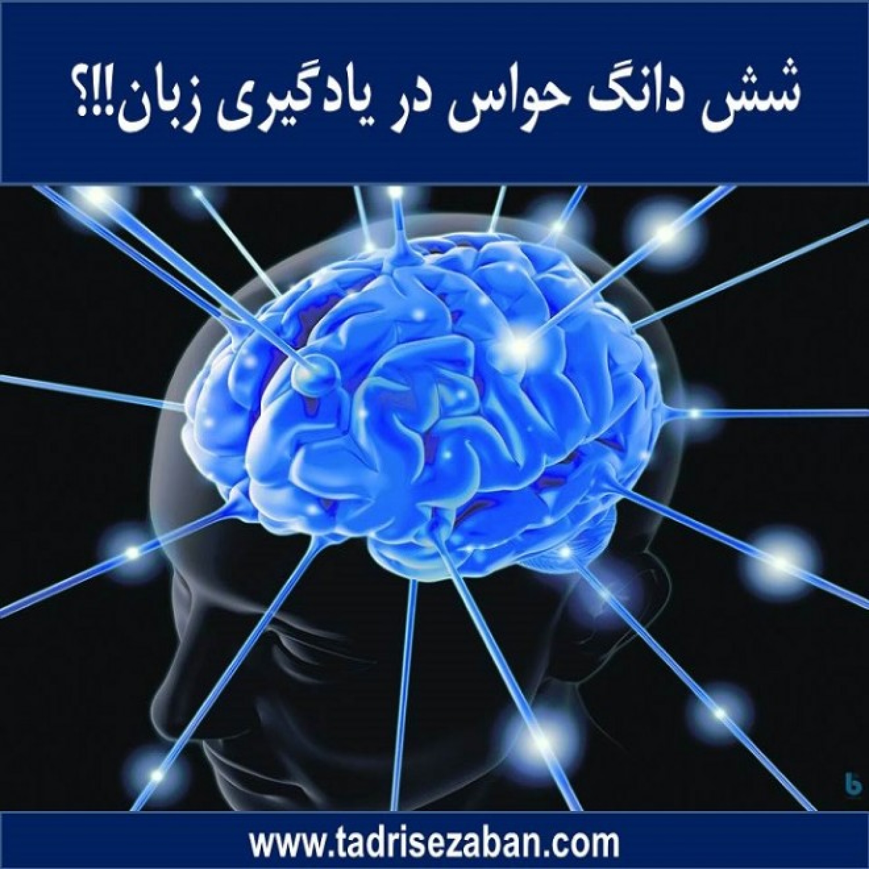 کاور شش دانگ حواس در یادگیری زبان