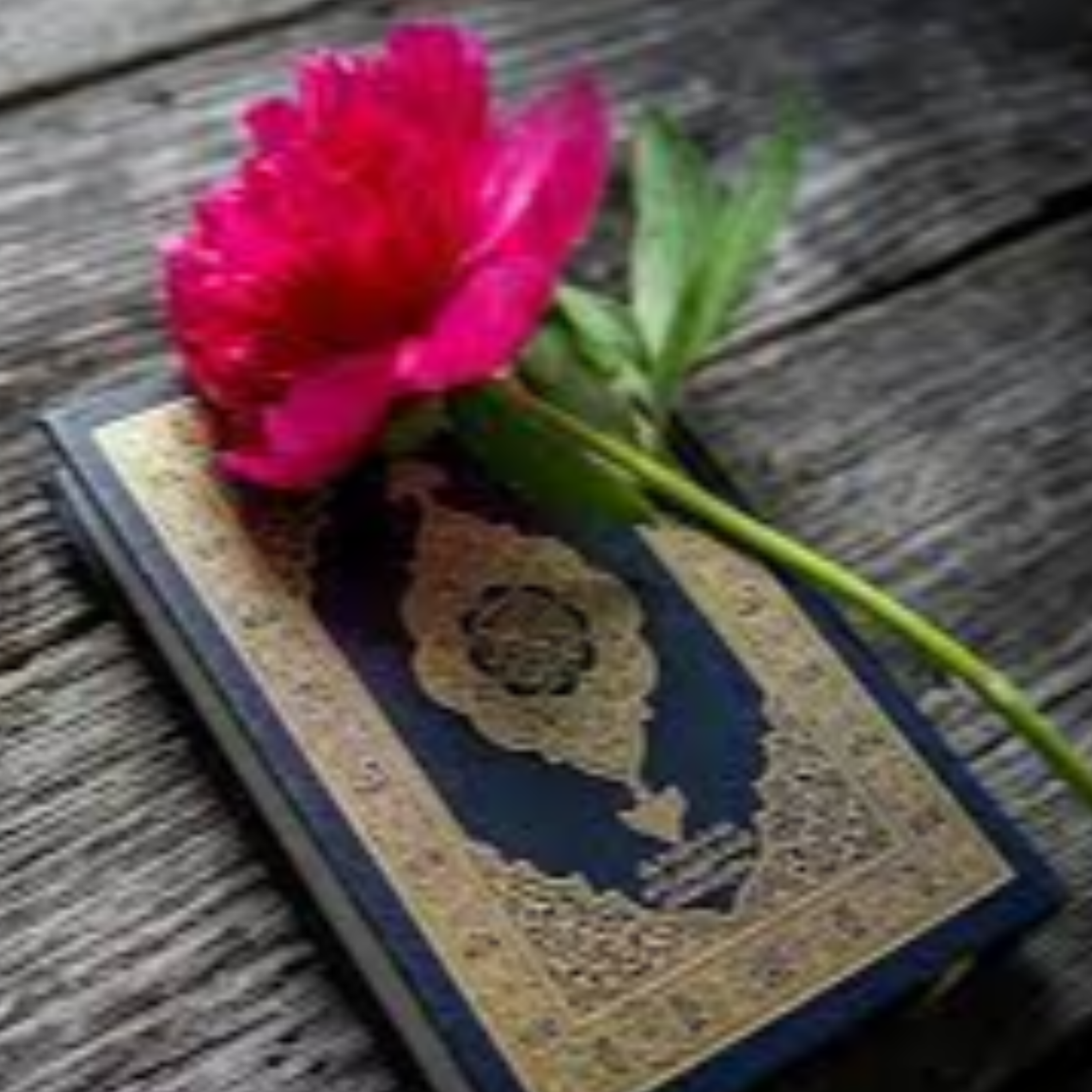 کاور مقدمه تفسیر قرآن کریم