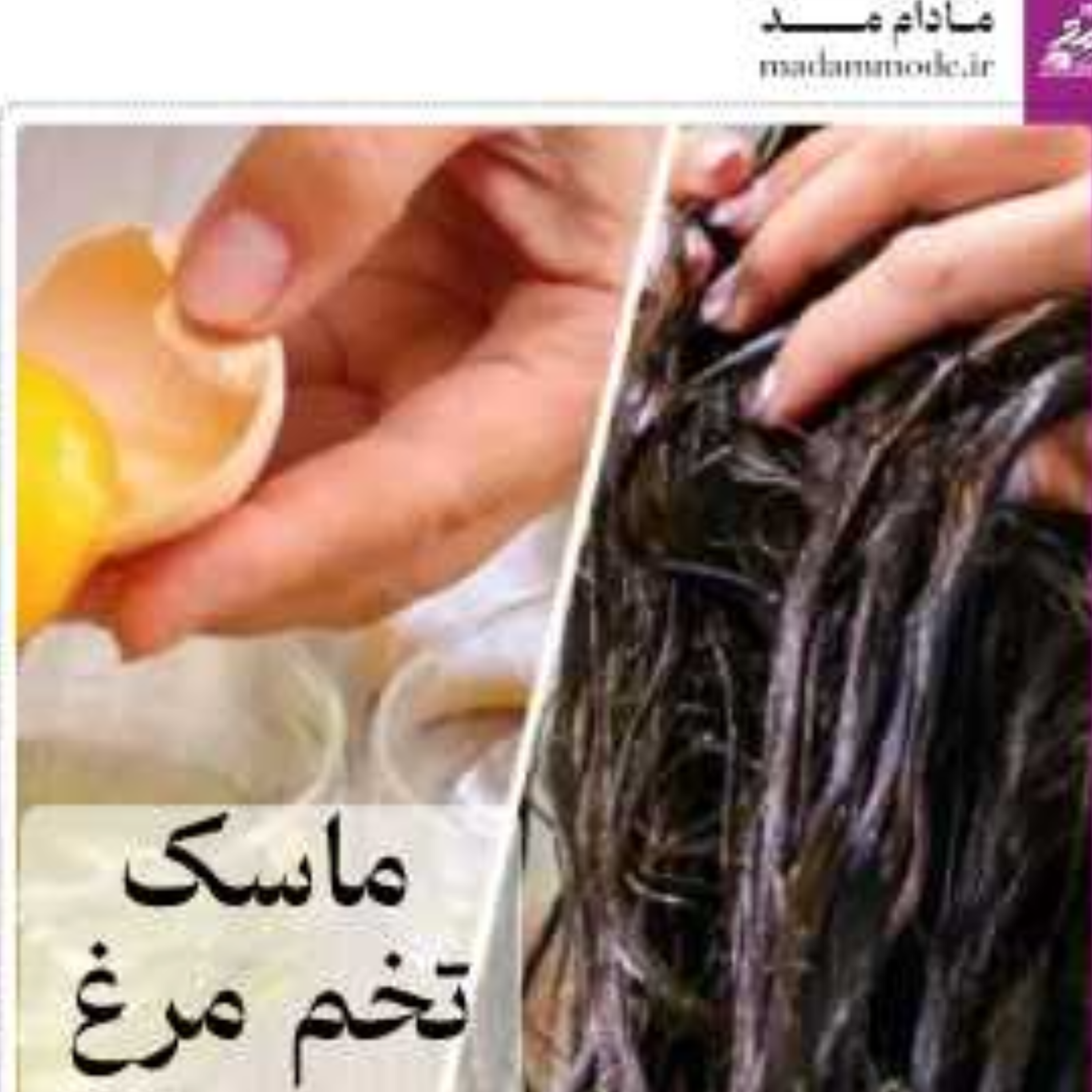 کاور معجزه ی ماسک تخم مرغ برای مو