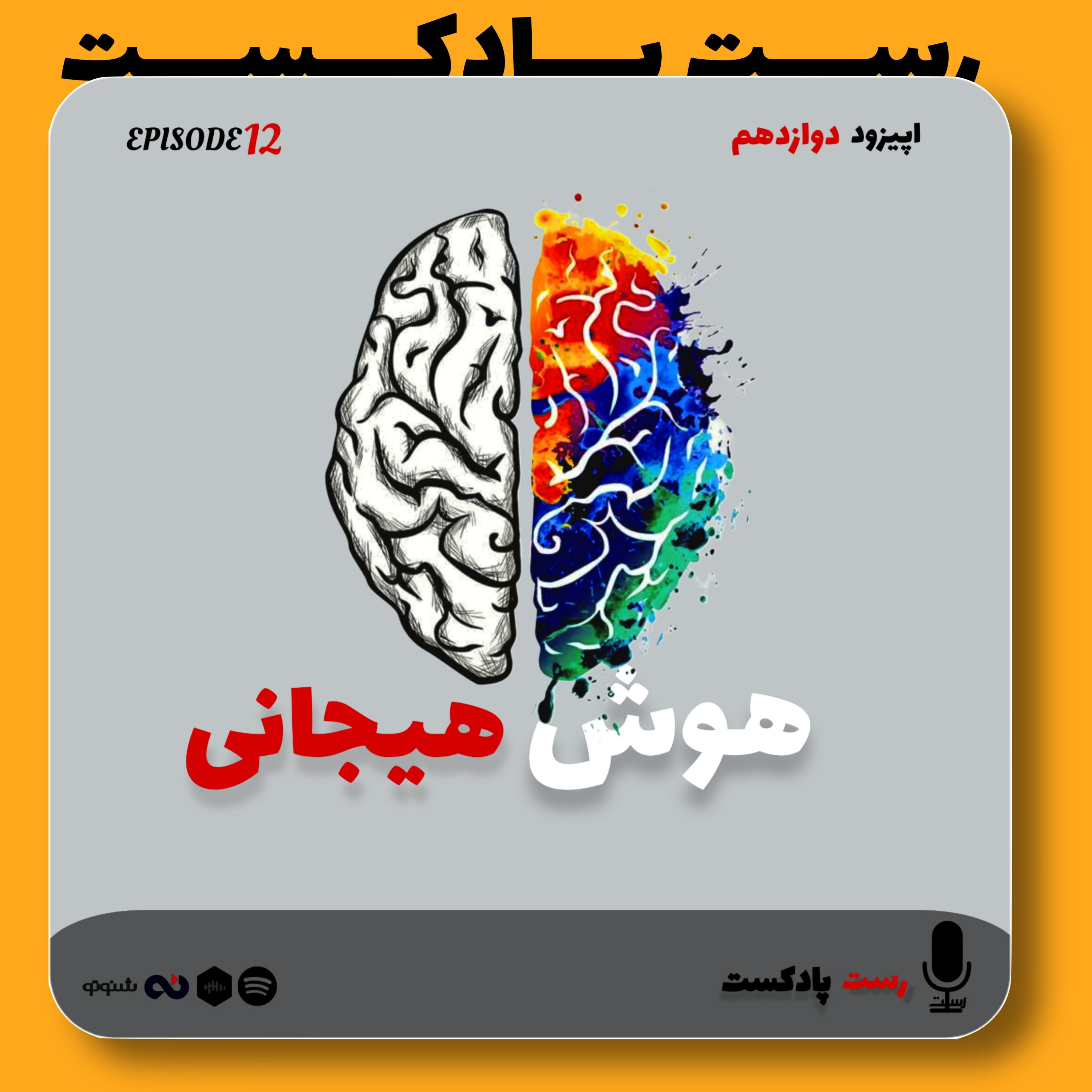 کاور 12.هوش هیجانی