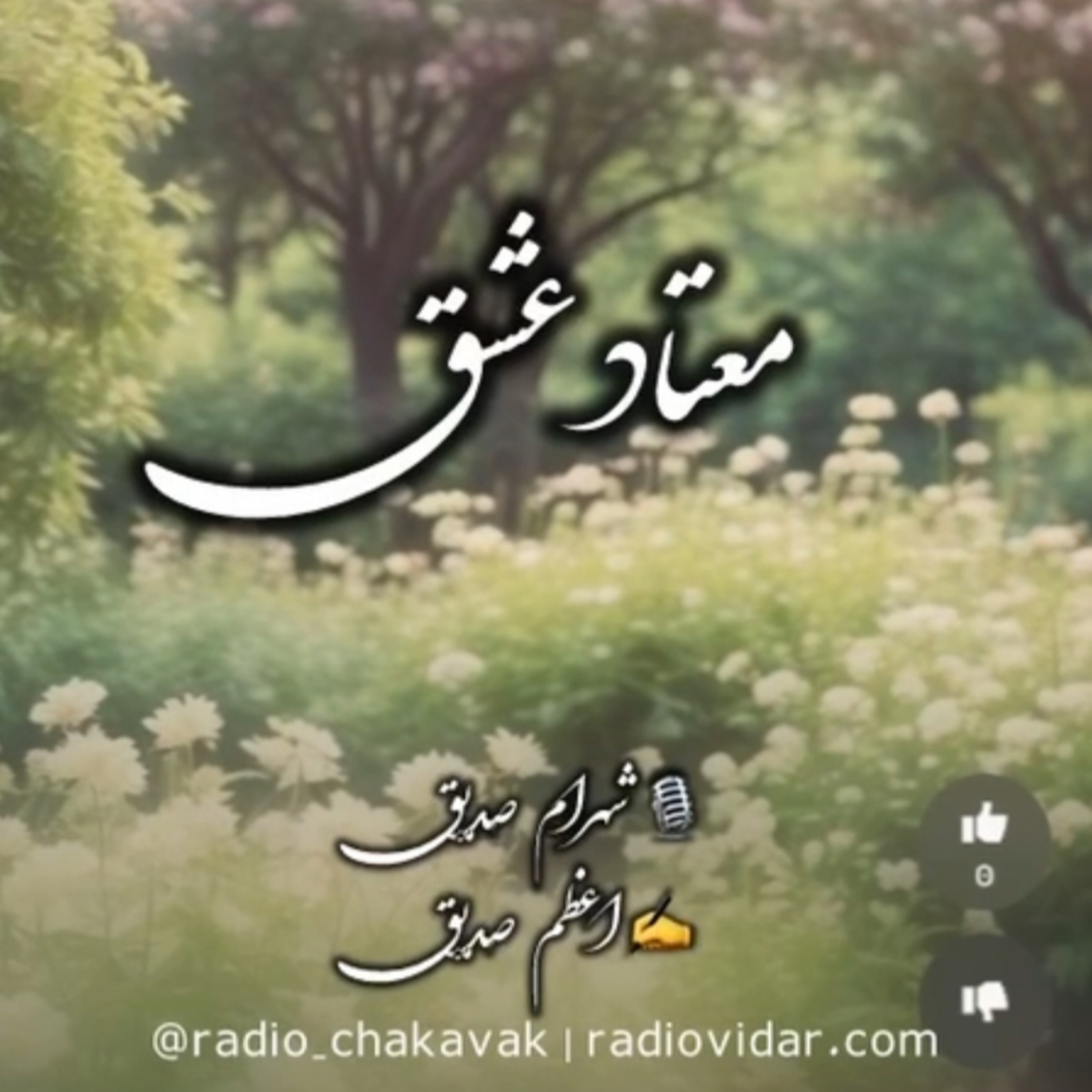 کاور دکلمه معتاد عشق