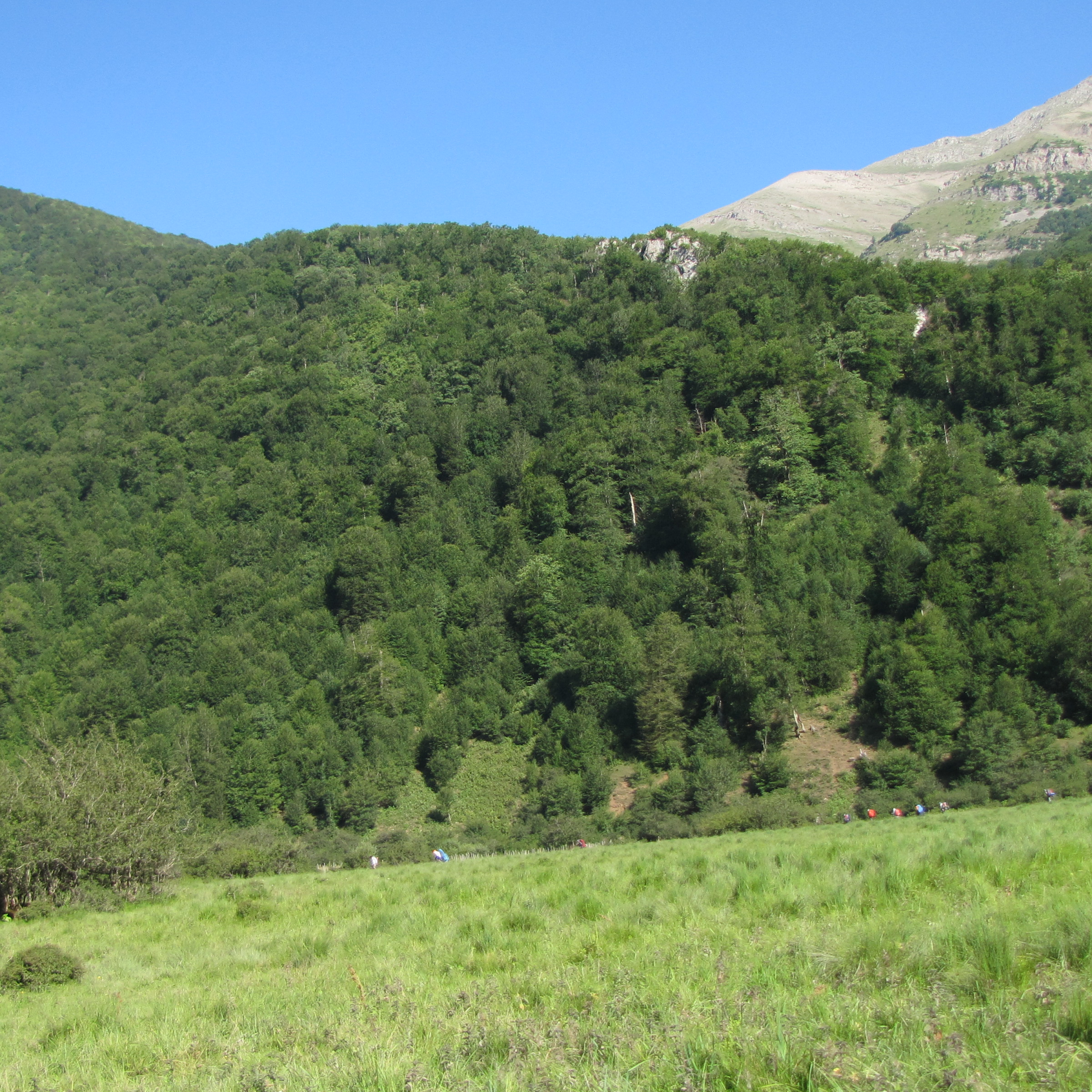 کاور کشتار در طبس5