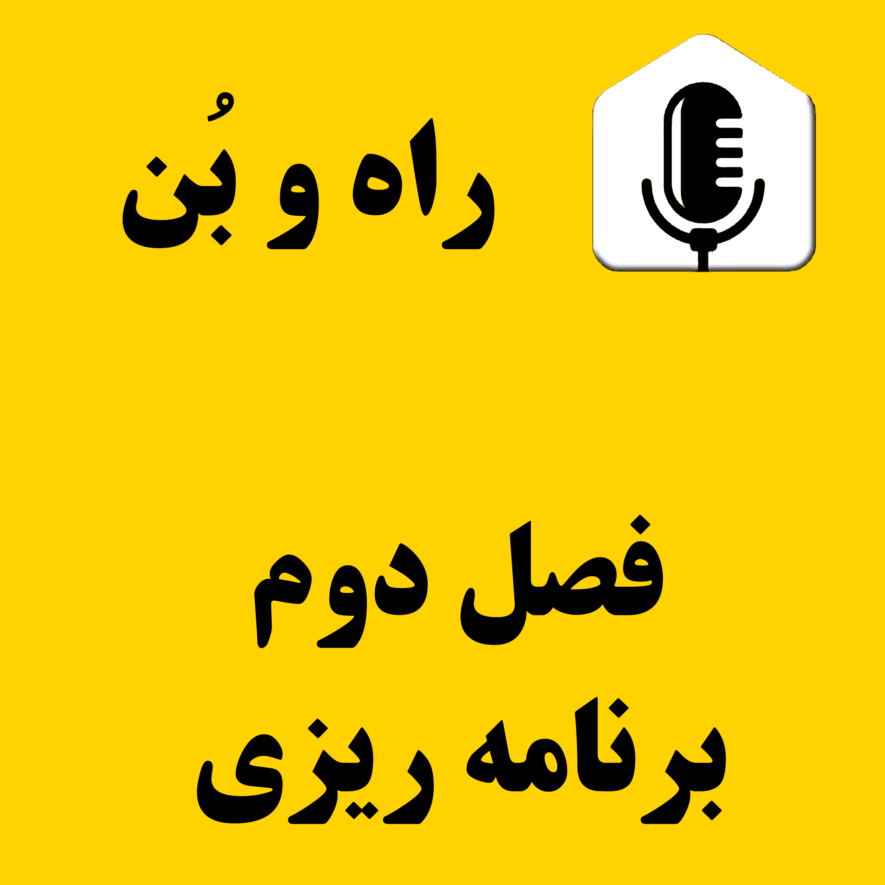 کاور 35_نهادینه کردن استراتژی ، عملی کردن استراتژی ، پیاده سازی استراتژی ، والت دیسنی