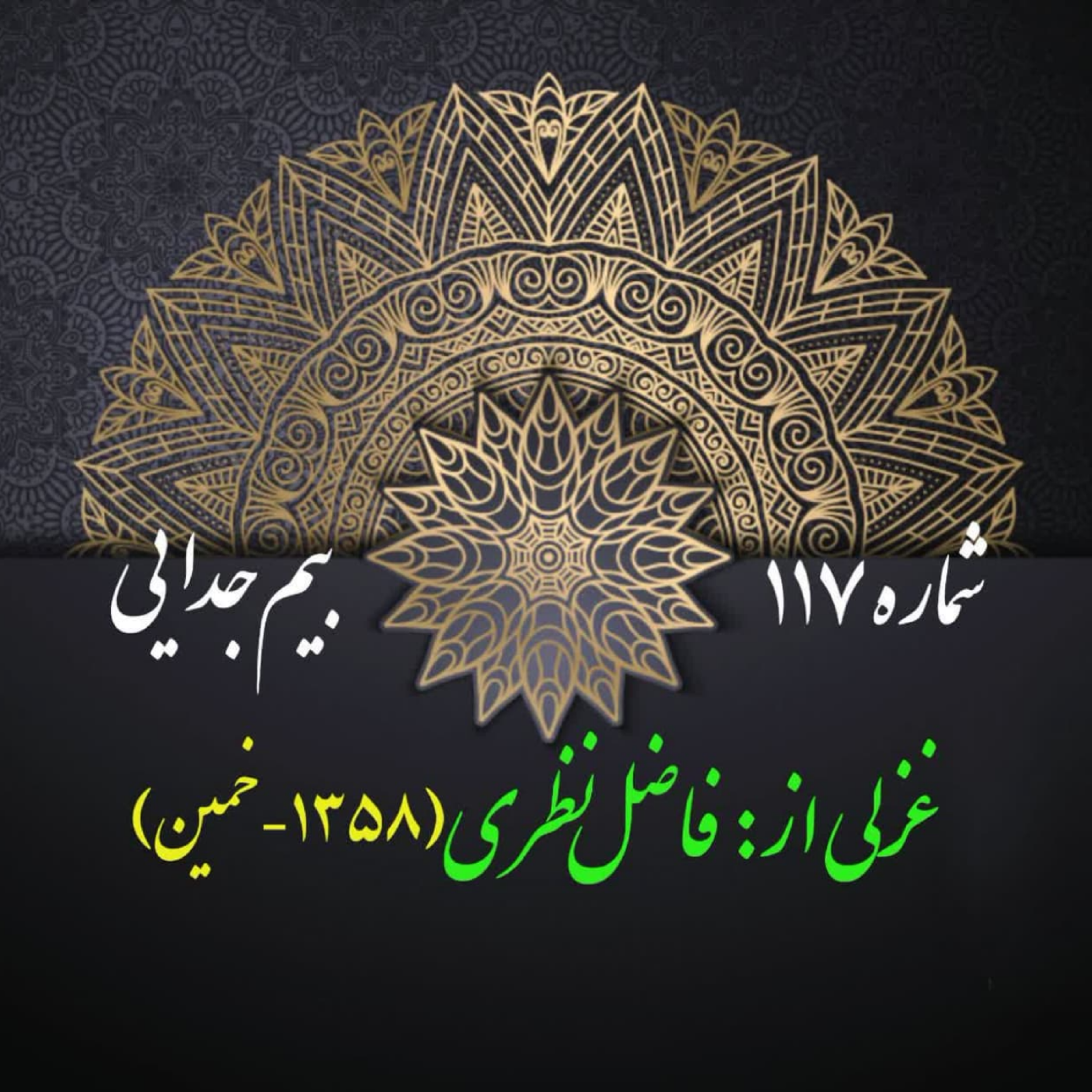 کاور شمارۀ 117 - غزلی از فاضل نظری