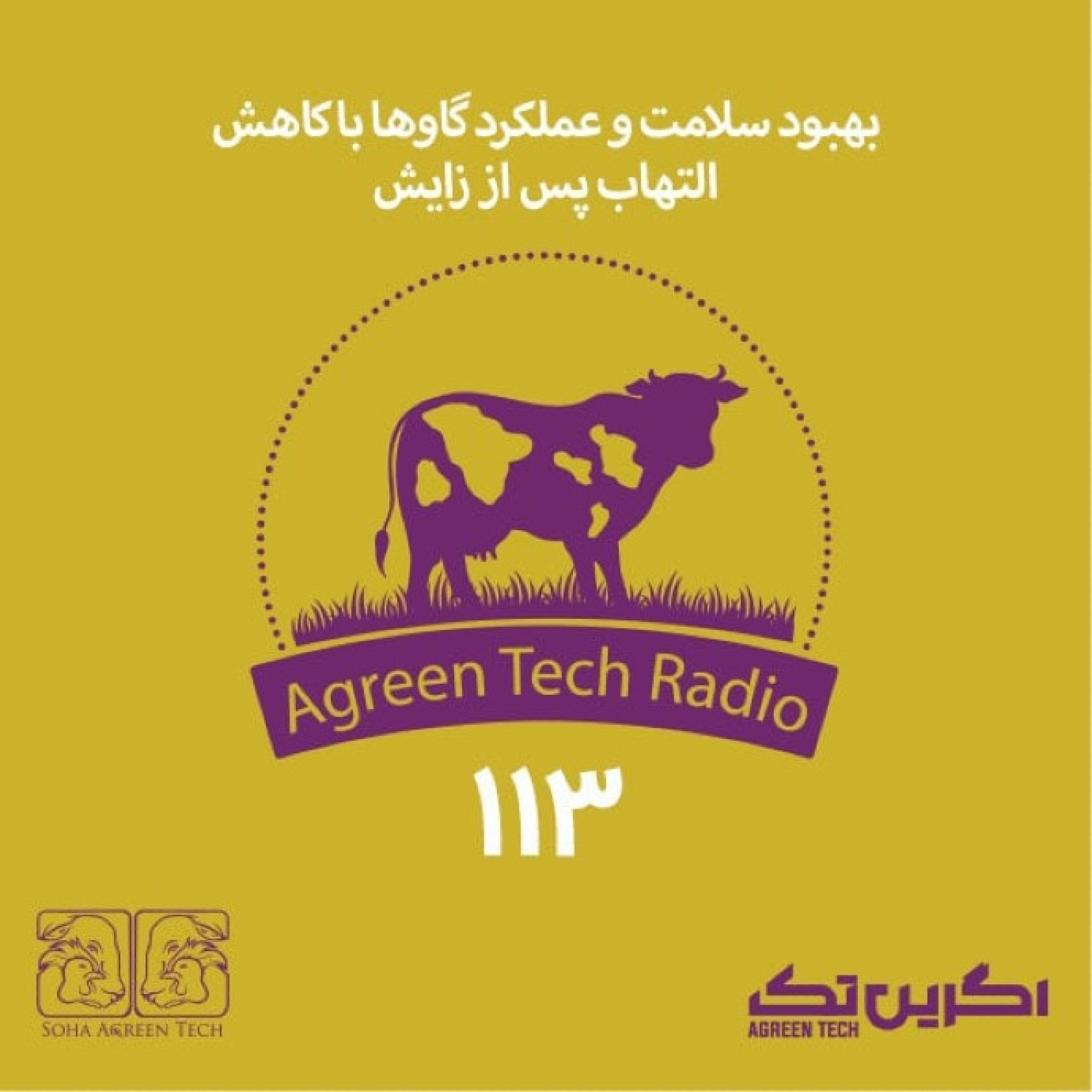 پادکست شماره 113: بهبود سلامت و عملکرد گاوها با کاهش التهاب پس از زایش