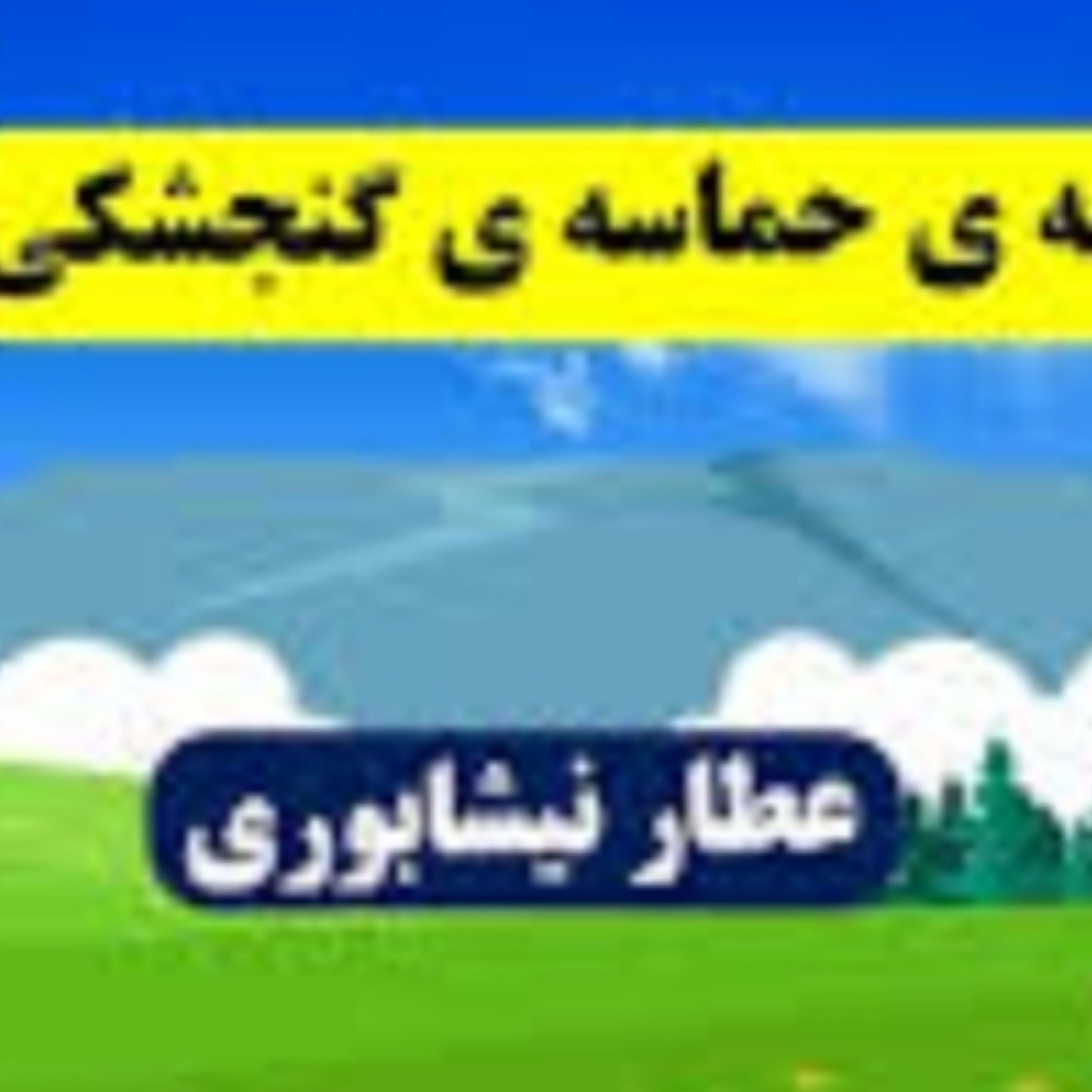 کاور حماسه گنجشکی