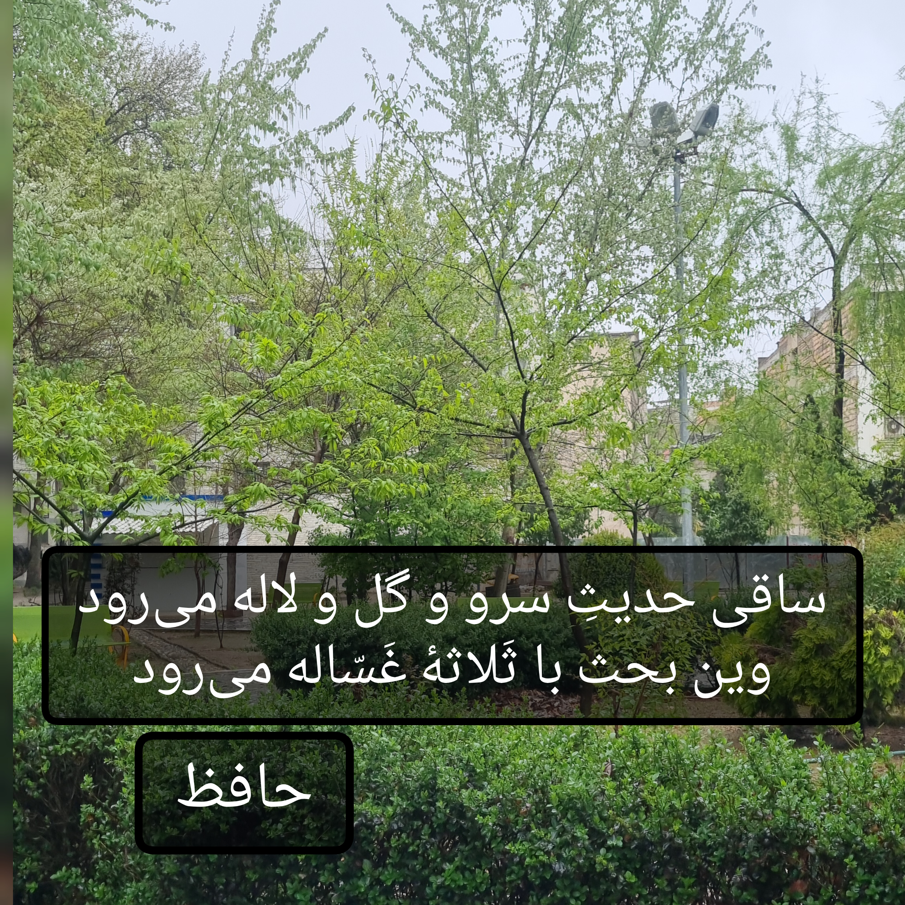 کاور حافظ - دیوان غزلیات - غزل شماره ۲۲۵