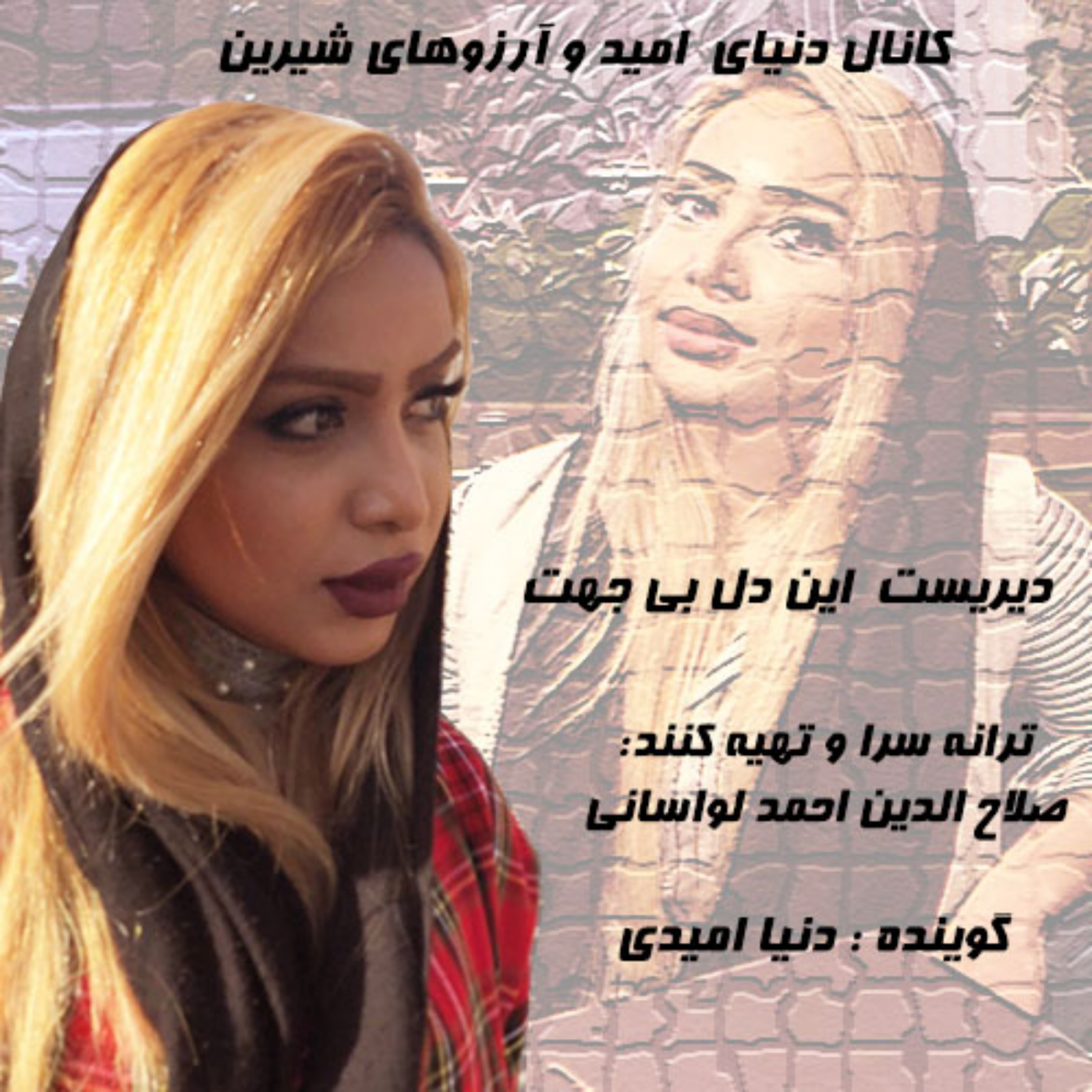 کاور دیریست این دل بی جهت