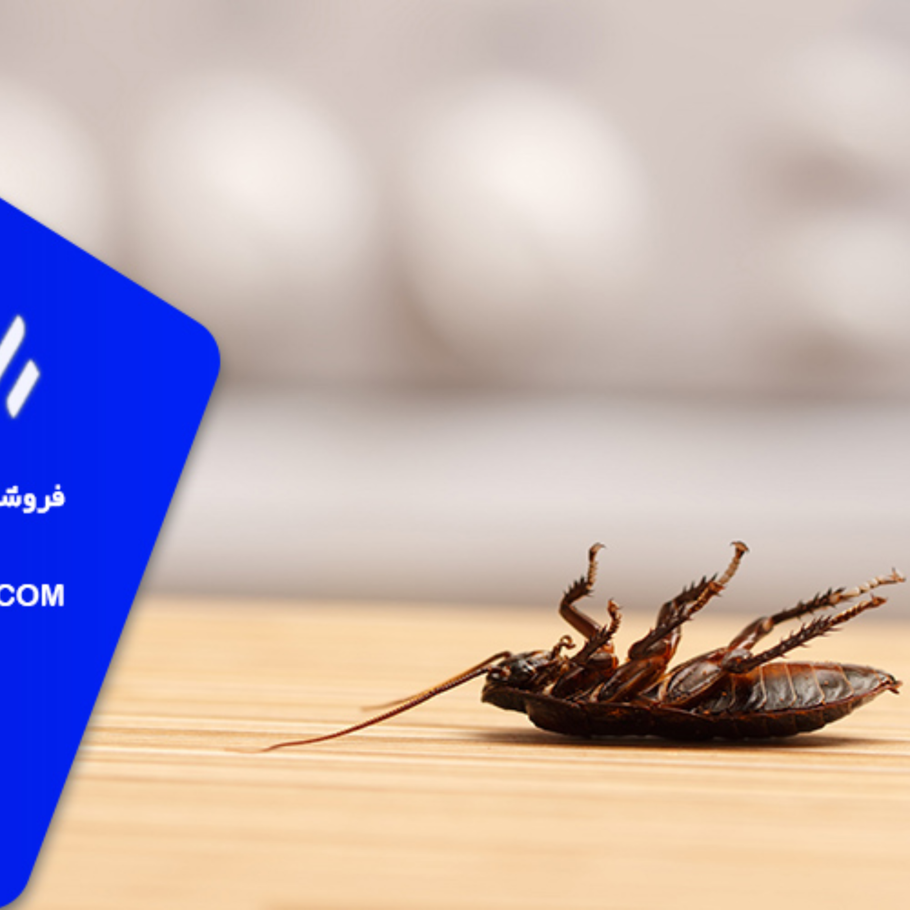 کاور پادکست سوسک کابینت