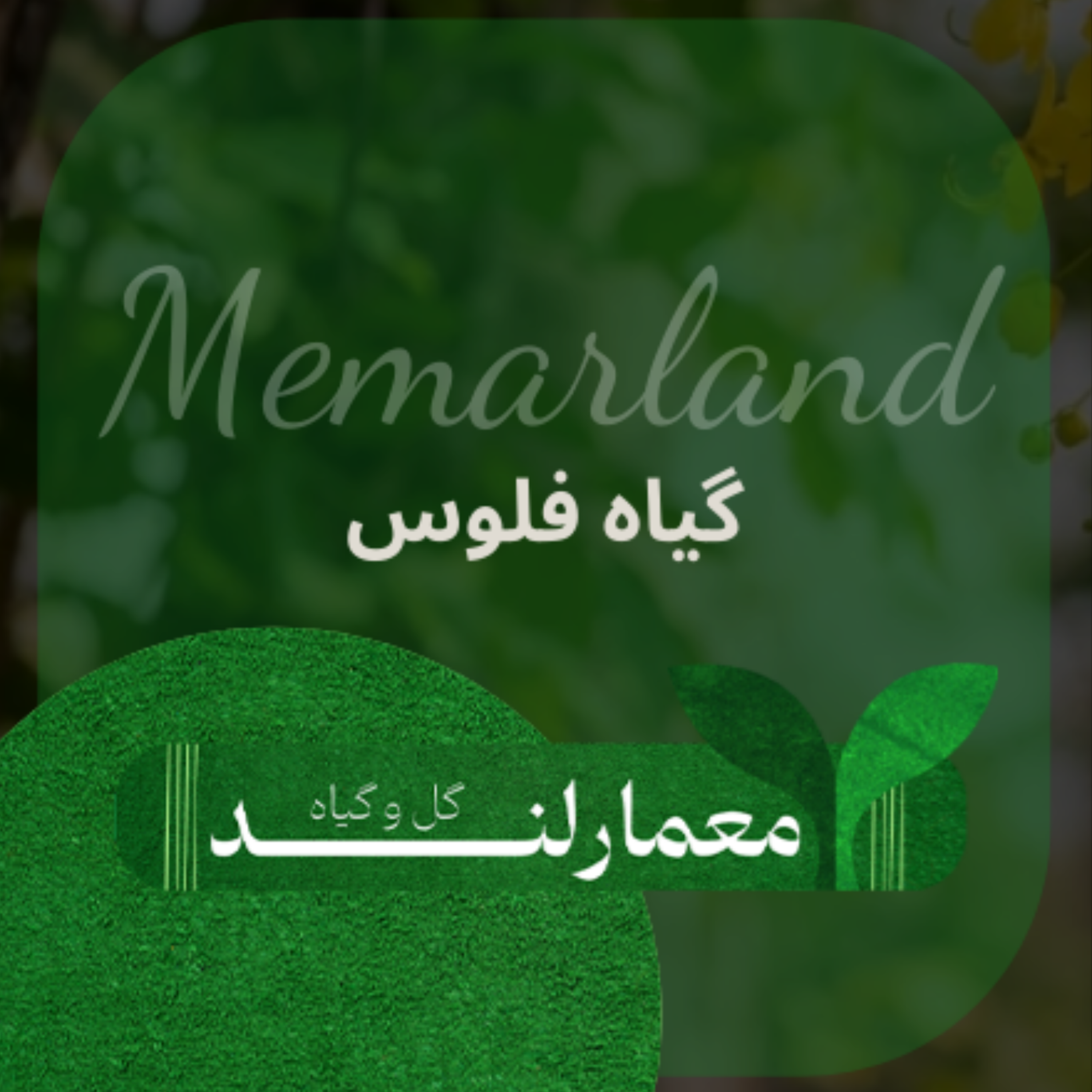 کاور گیاه فلوس