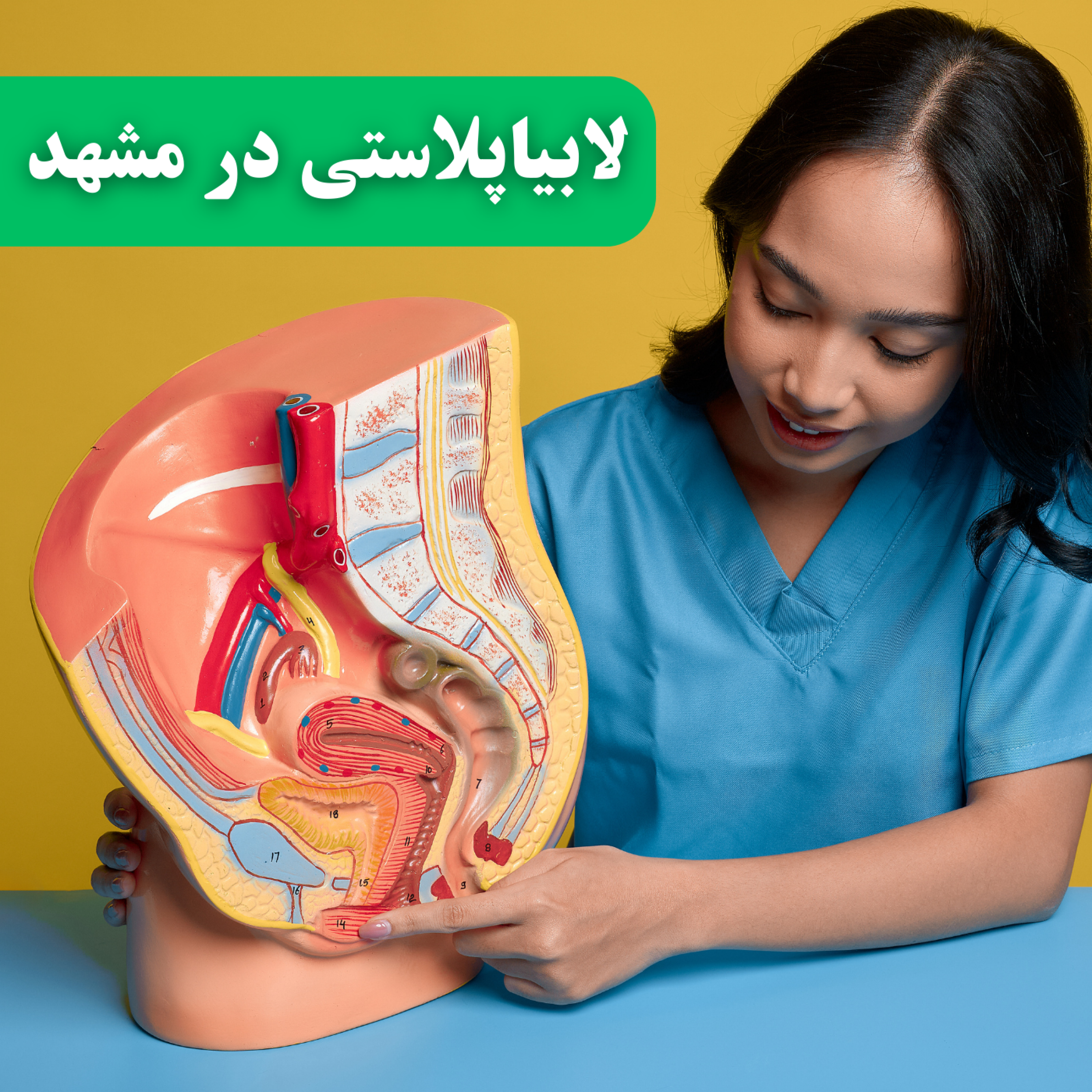 کاور زیبای واژن مشهد | بهترین دکتر متخصص در کلینیک نوین ایرانا