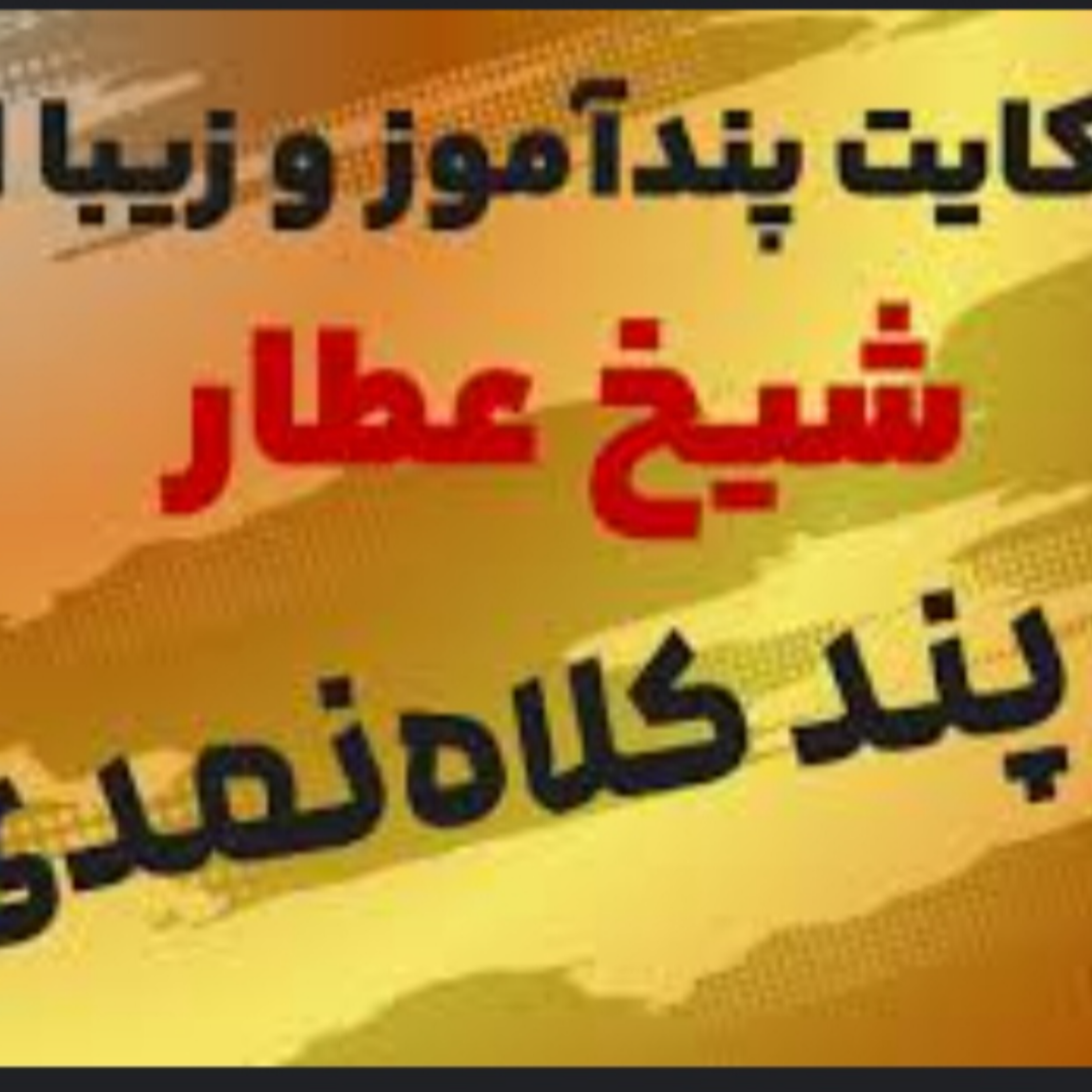 کاور پند کلاه نمدی