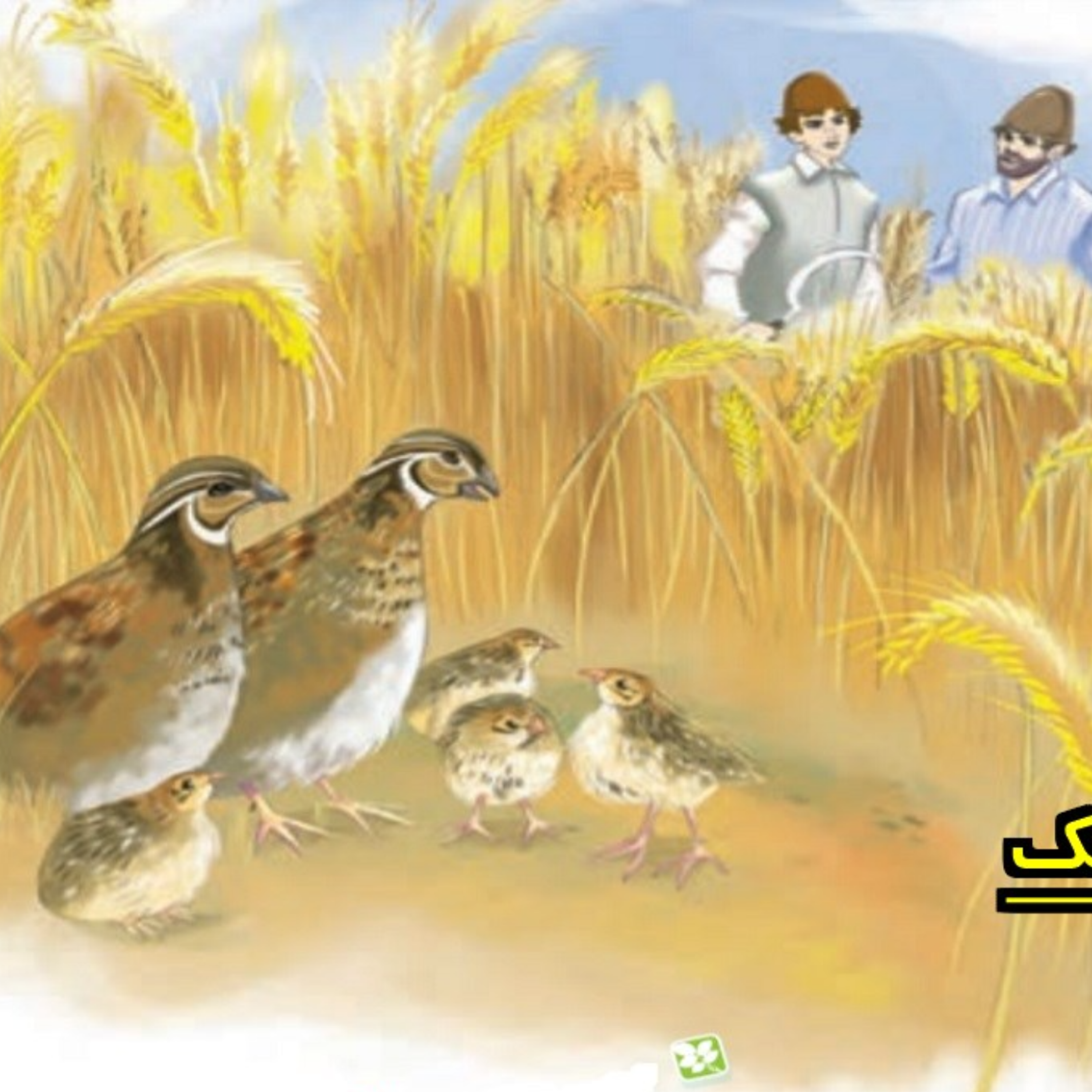 کاور کس نخارد پشت من، جز ناخن انگشت من