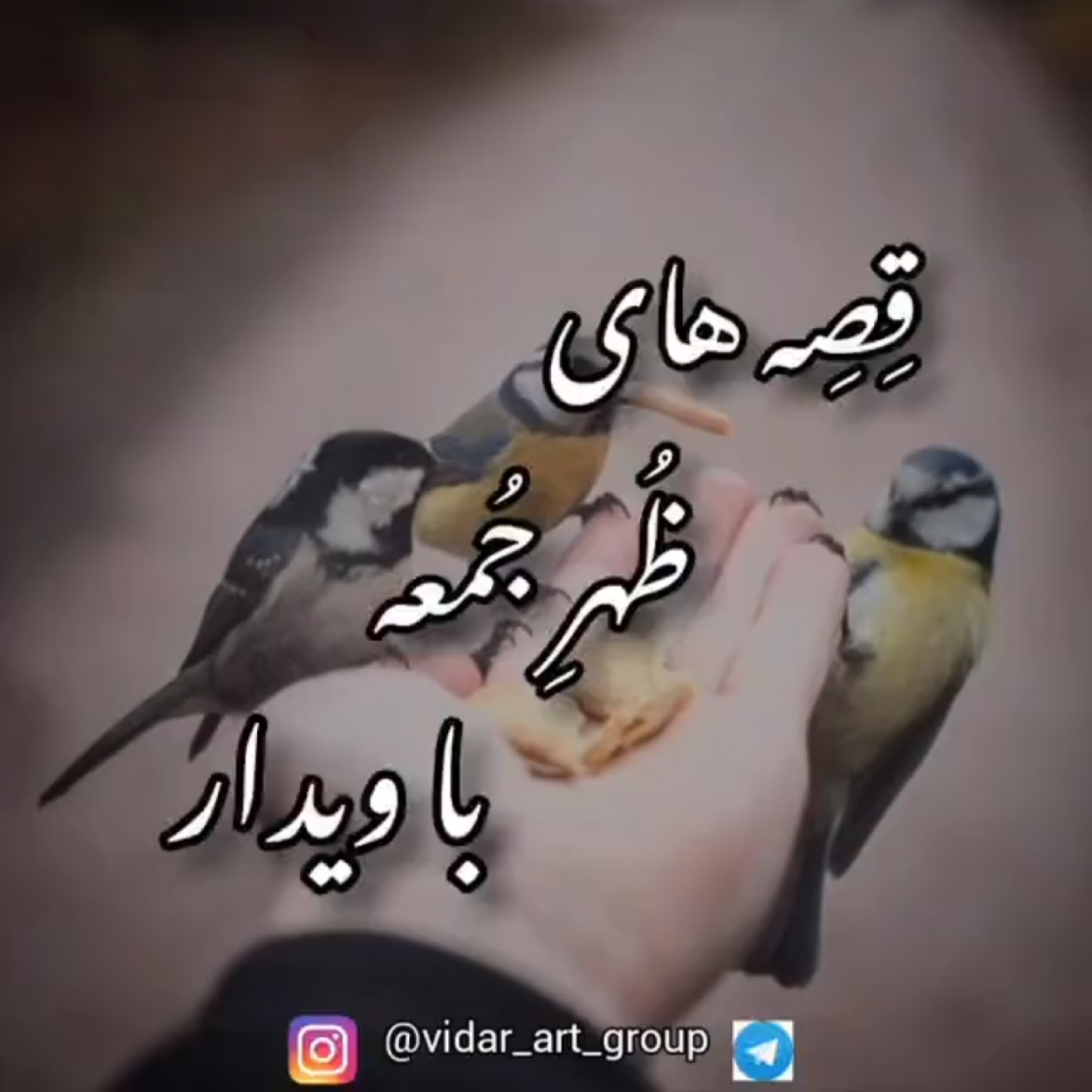 کاور داستان قاعده زندگی