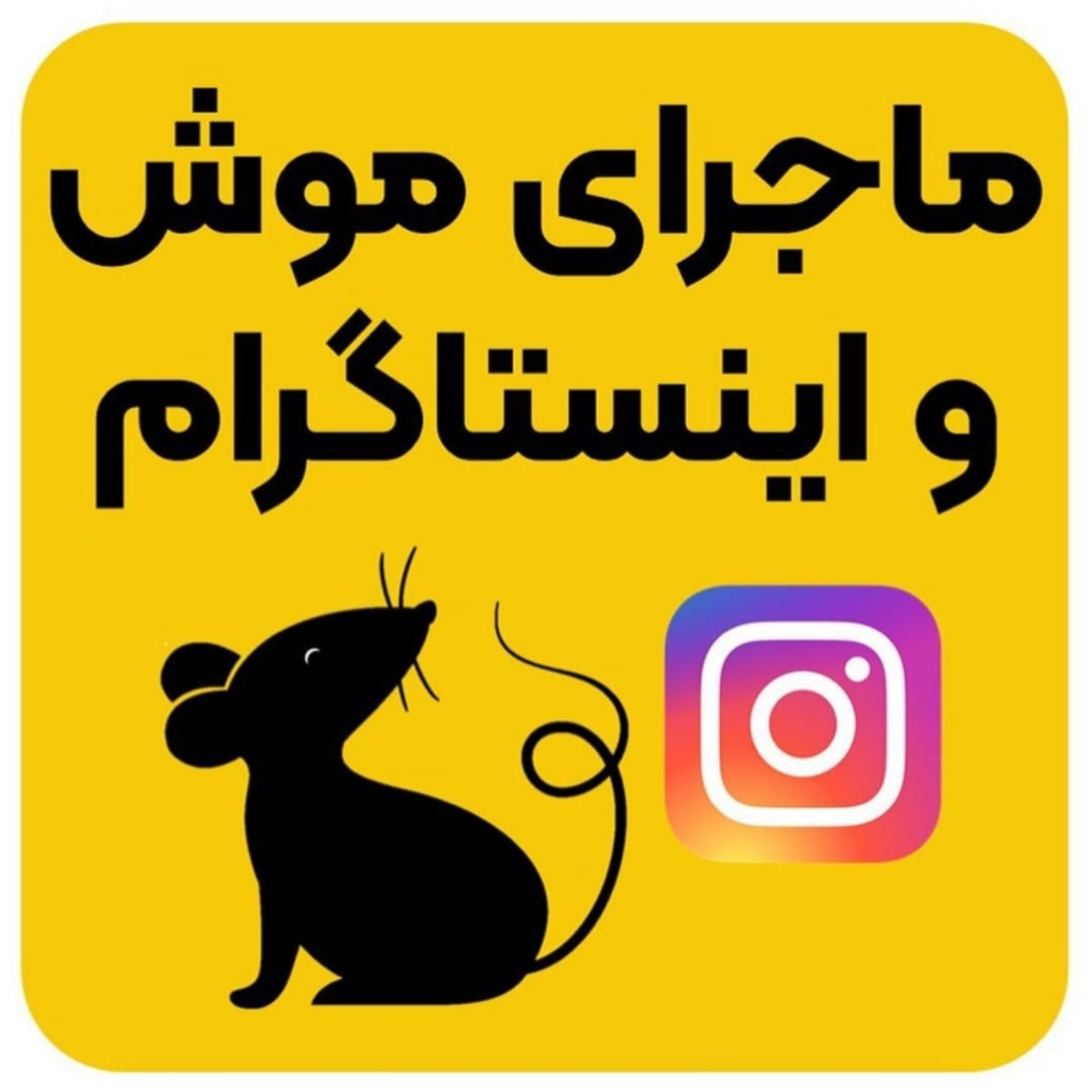 ماجرای موش و اینستاگرام