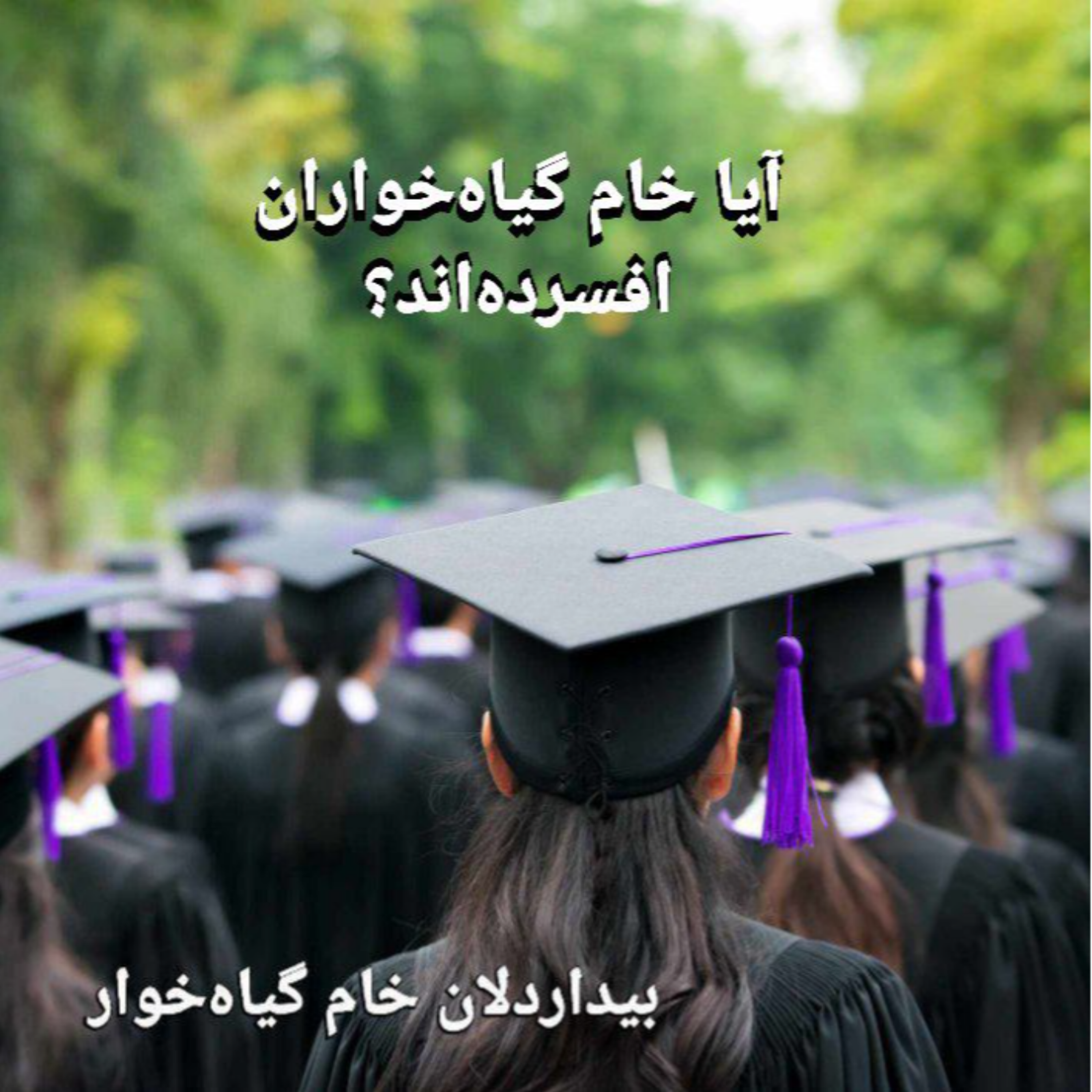 کاور آیا خام گیاه‌خواران افسرده‌اند؟ ۴۵