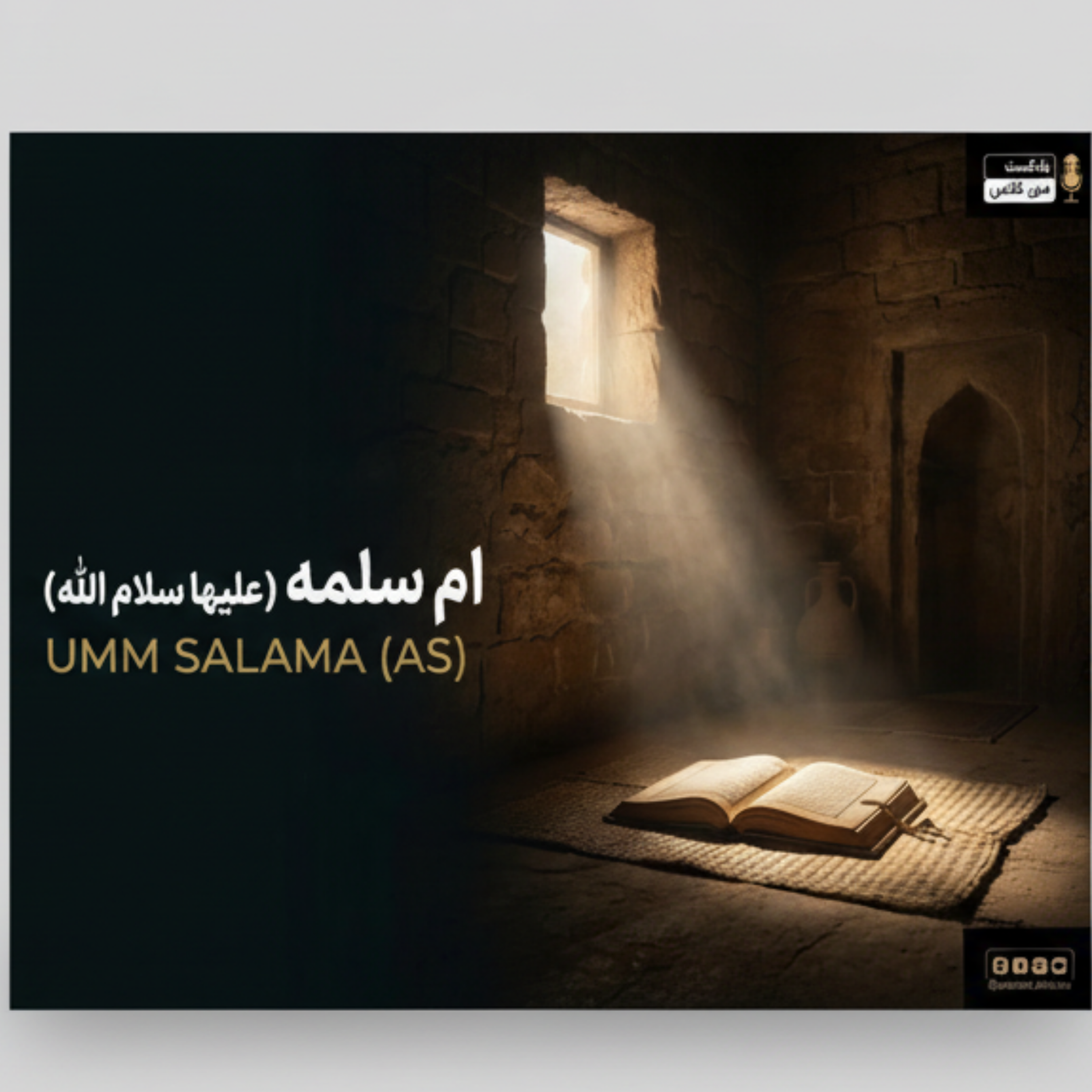 کاور ام سلمه 4