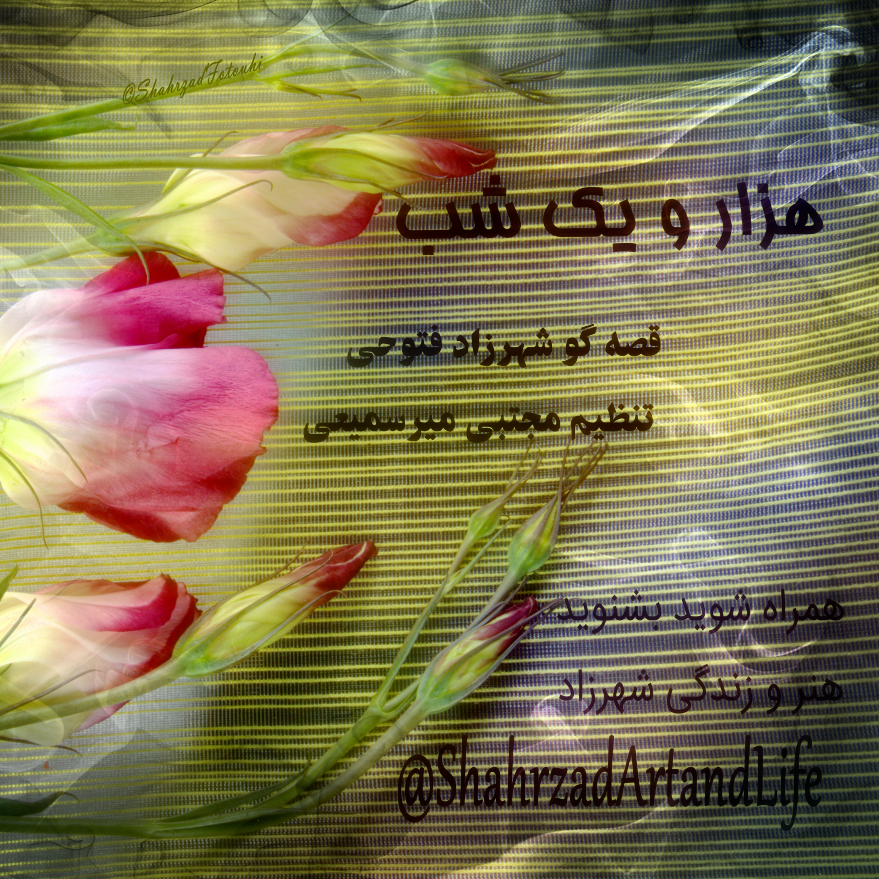 هزار و یک شب ۷۰۸     هفتصد و هشتم      قصه‌گو شهرزاد‌فتوحی     هنر‌و‌زندگی‌شهرزاد episode artwork