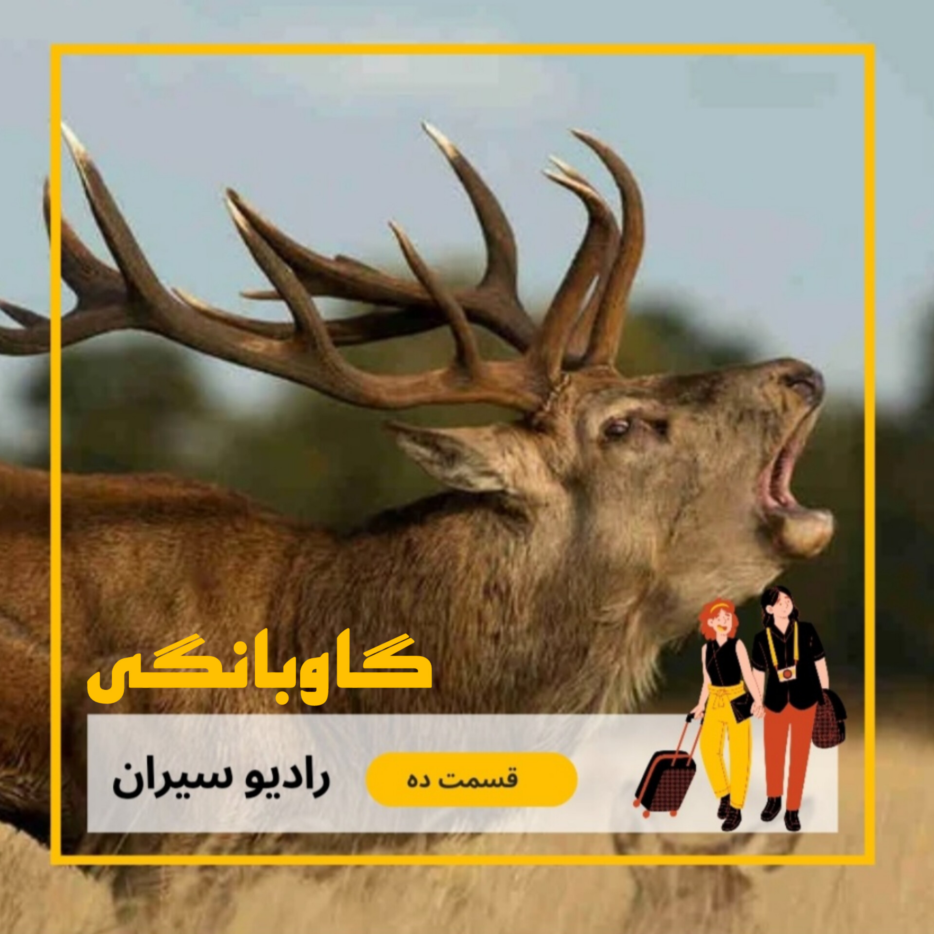 کاور ۱۰. گاوبانگی (گفتگو با داود ملکی)
