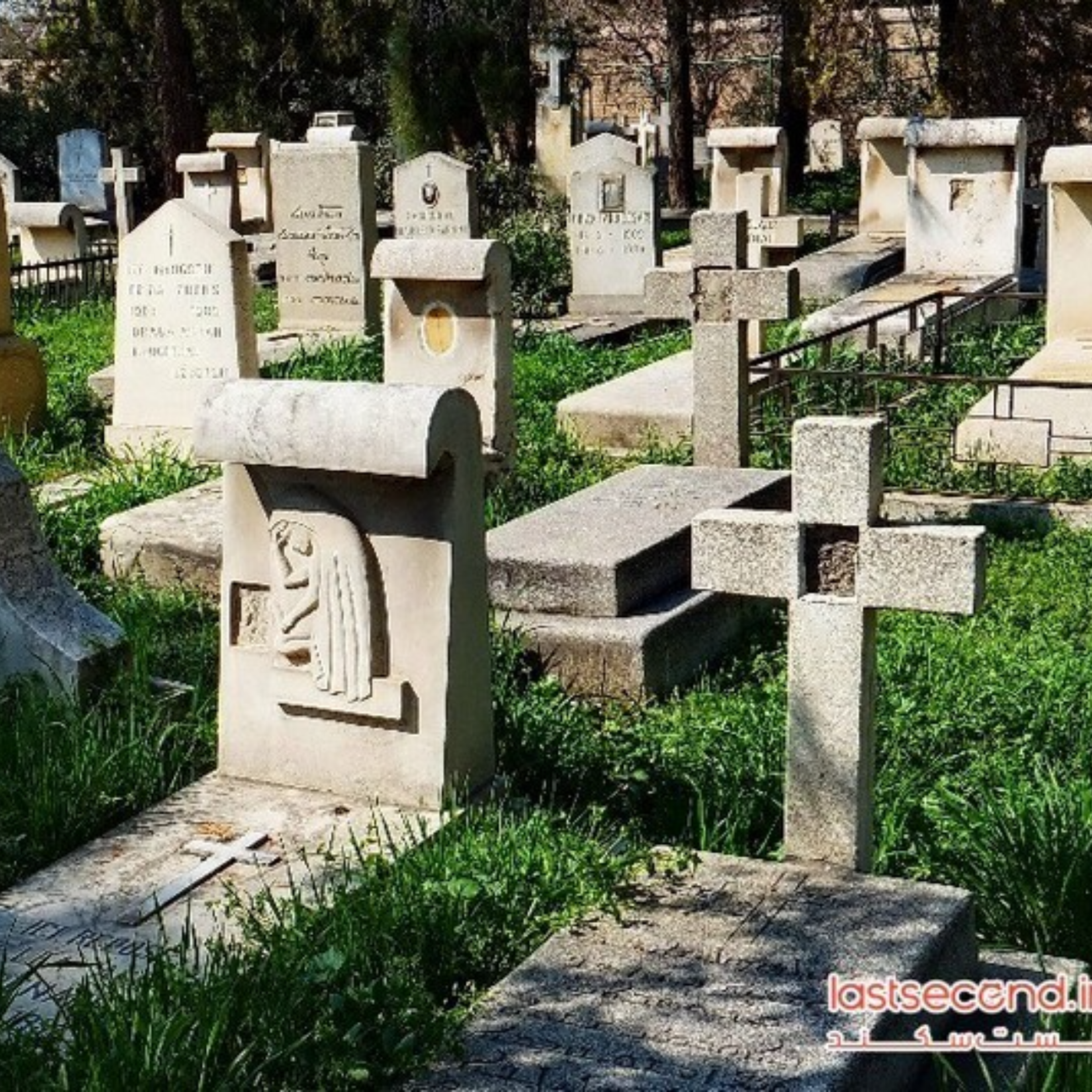 کاور 19_ دلباختگی