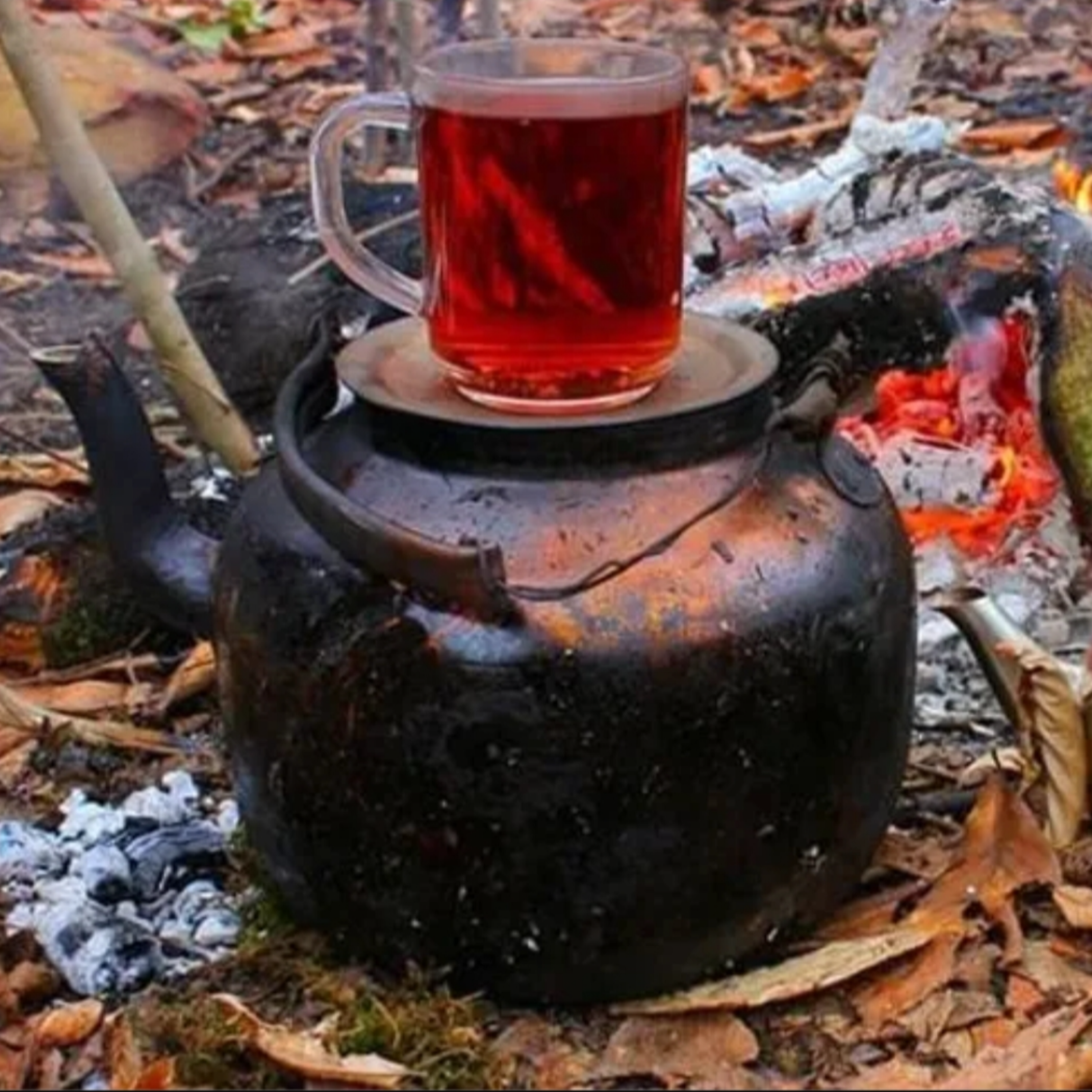 کاور پایان‌‌بندی