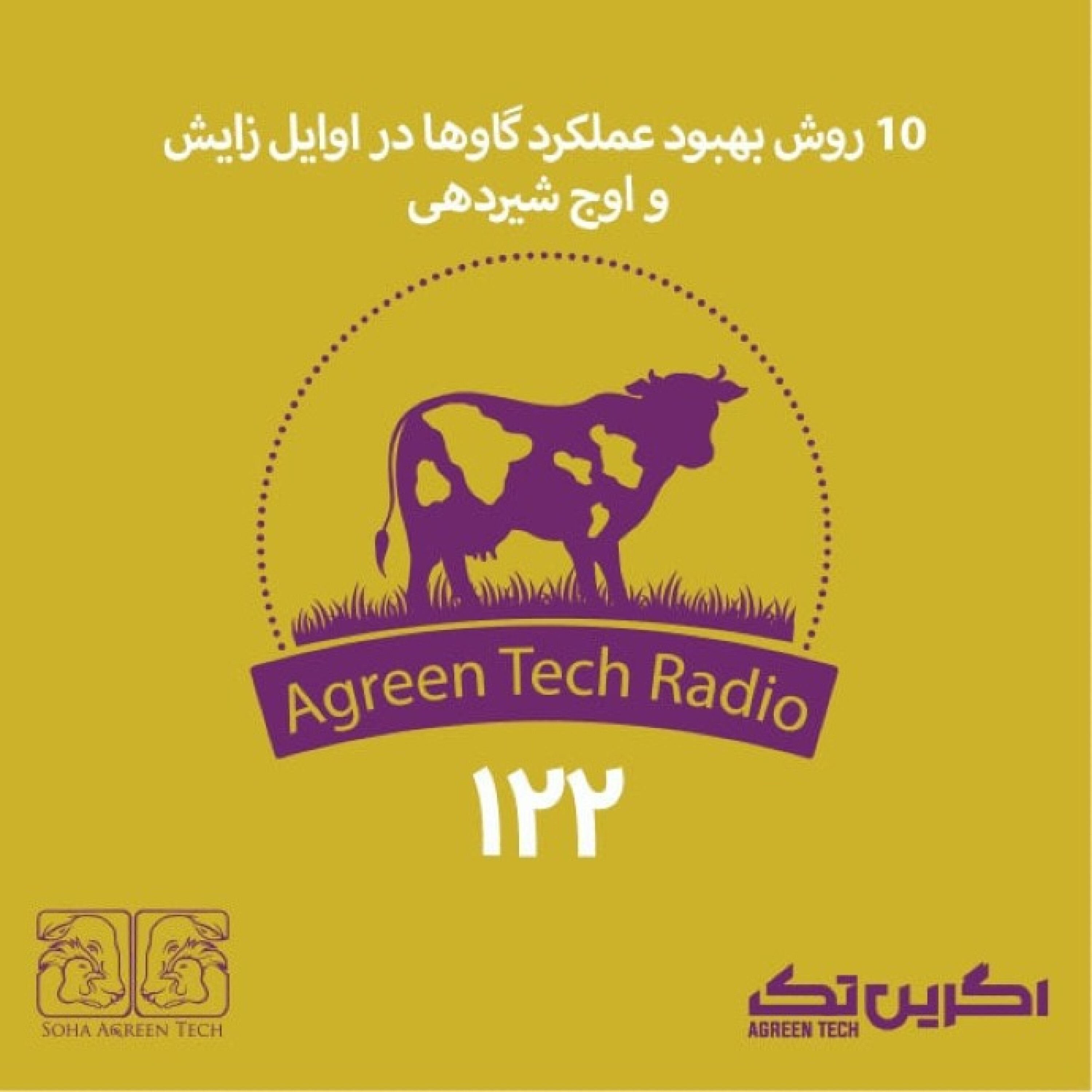 پادکست شماره 122: 10 روش بهبود عملکرد گاوها در اوایل زایش و اوج شیردهی