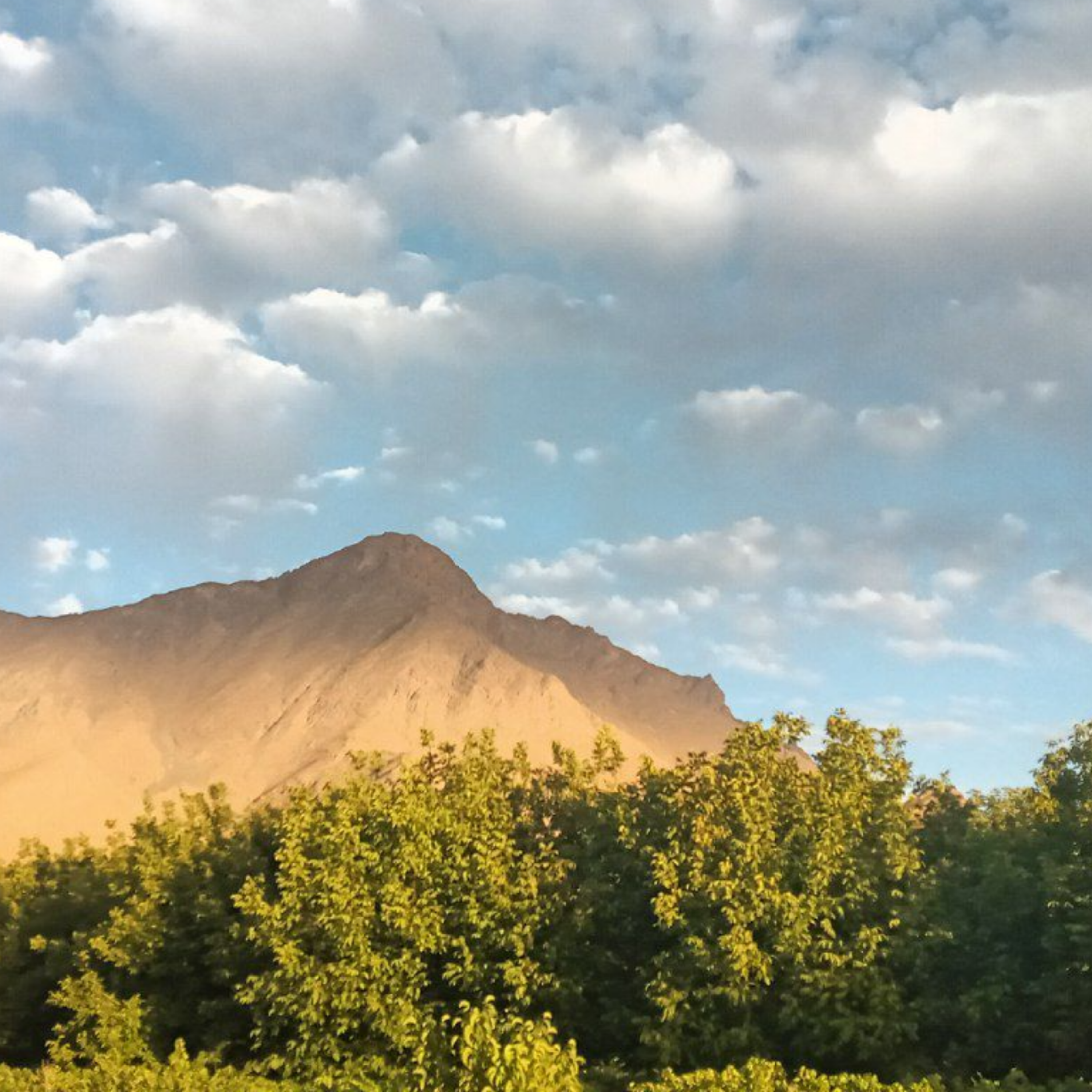 کاور چنان دلگیرم از دنیا