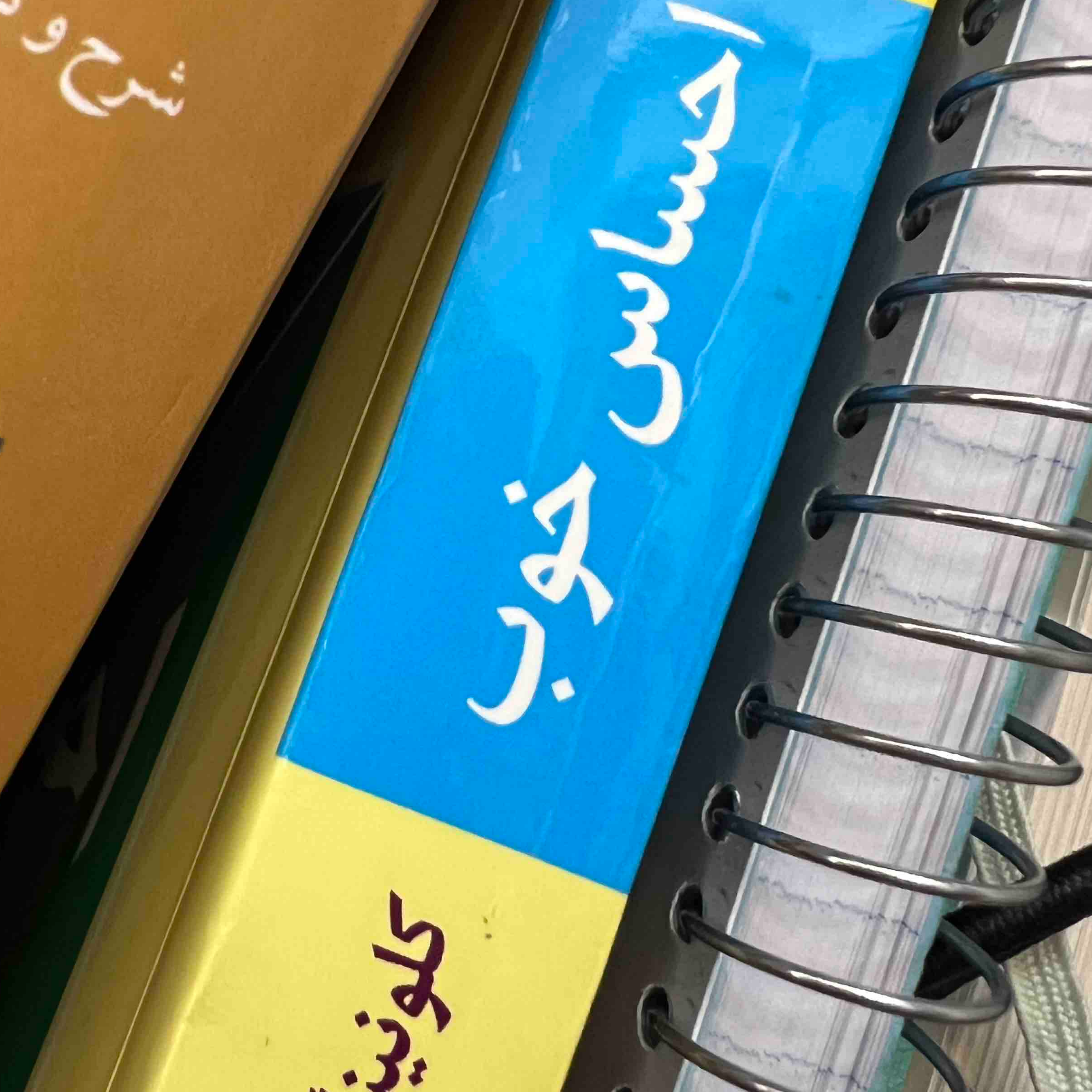 داستان اول شاه و کنیزک