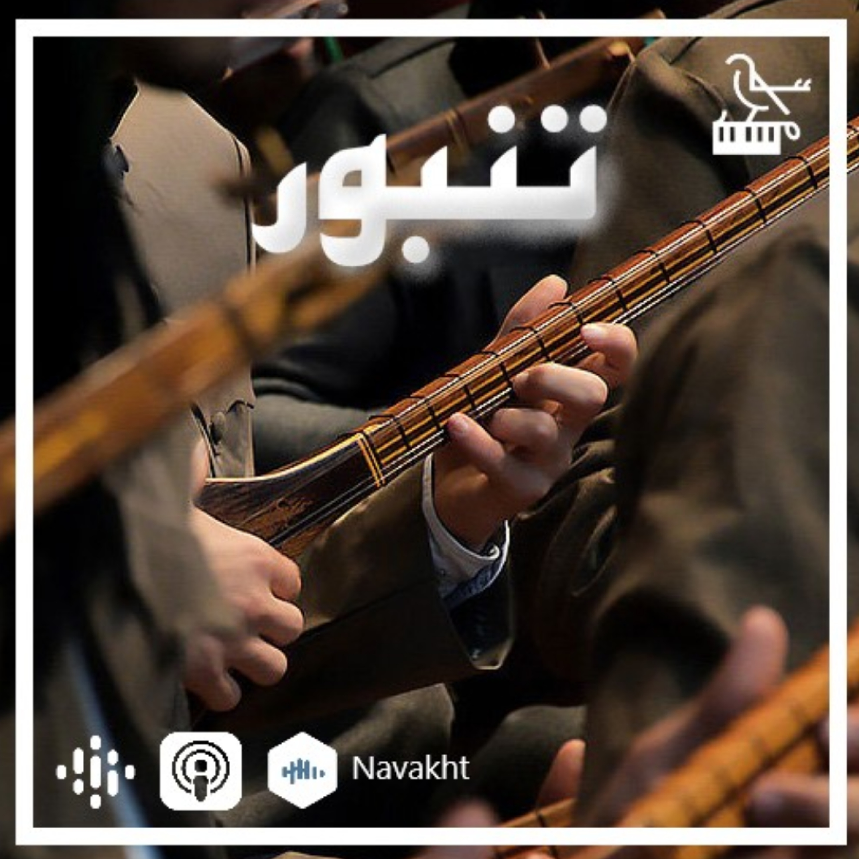 ۳_ آوایی که مرگش مقدر شده (تنبور)