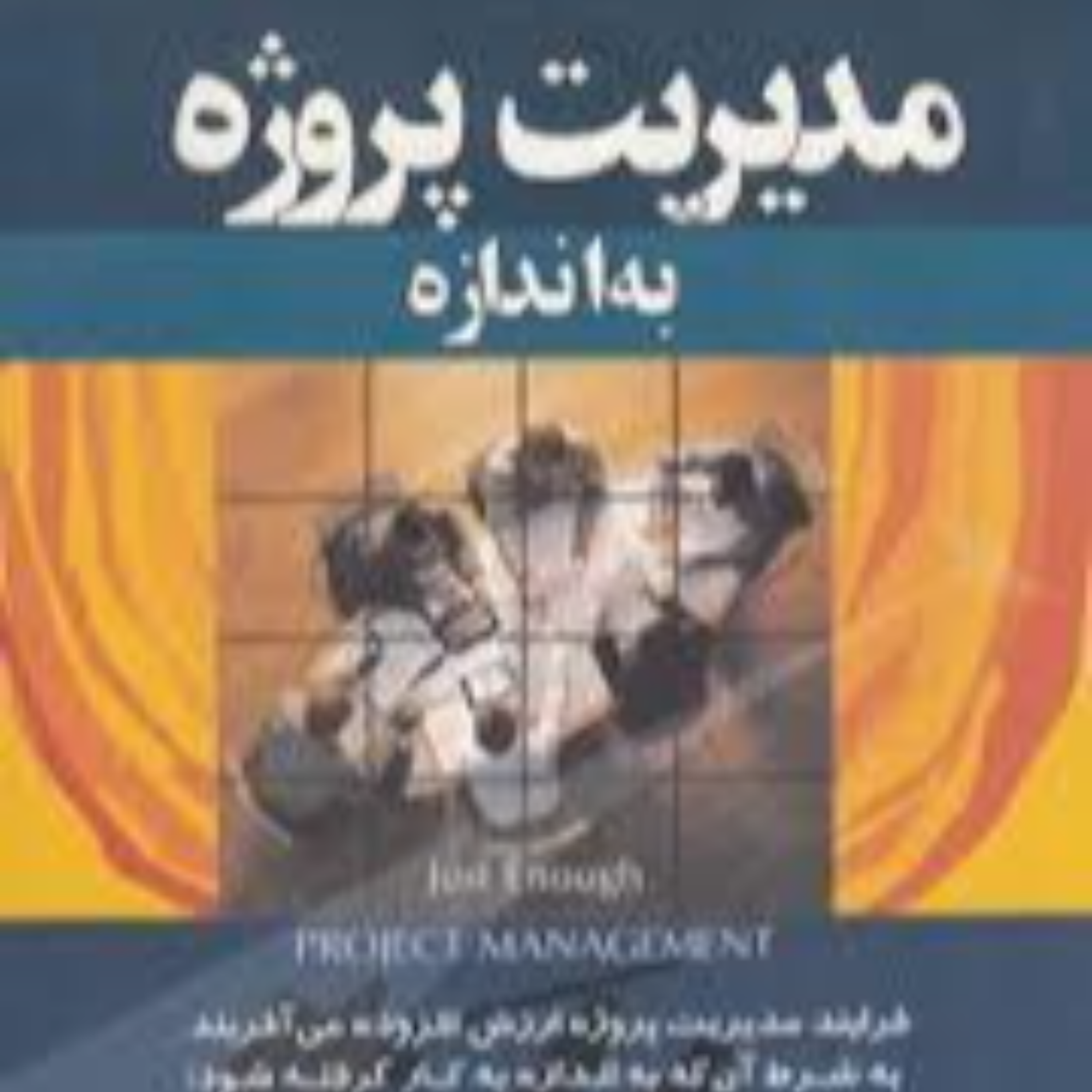 کاور 102-خلاصه کتاب مدیریت پروژه به اندازه ، کورتیس کوک ،اجرای پروژه ، مدیریت زمان پروژه ، مدیریت آسان
