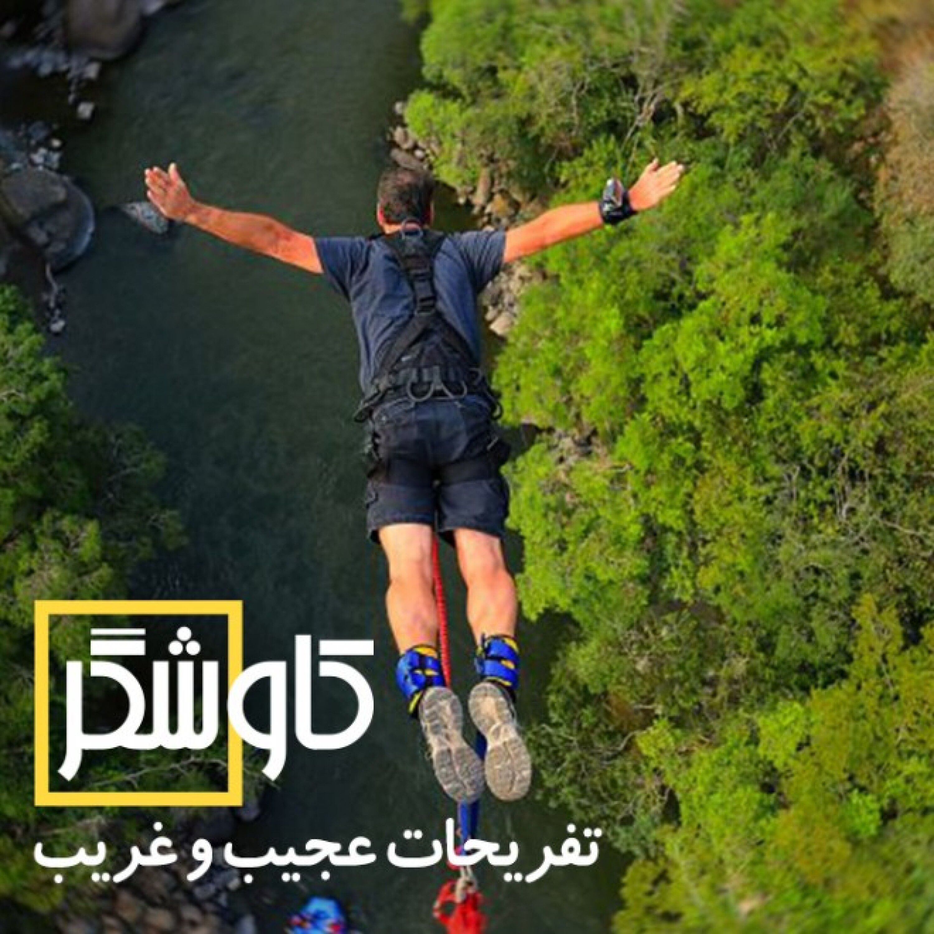 تفریحات عجیب و غریب