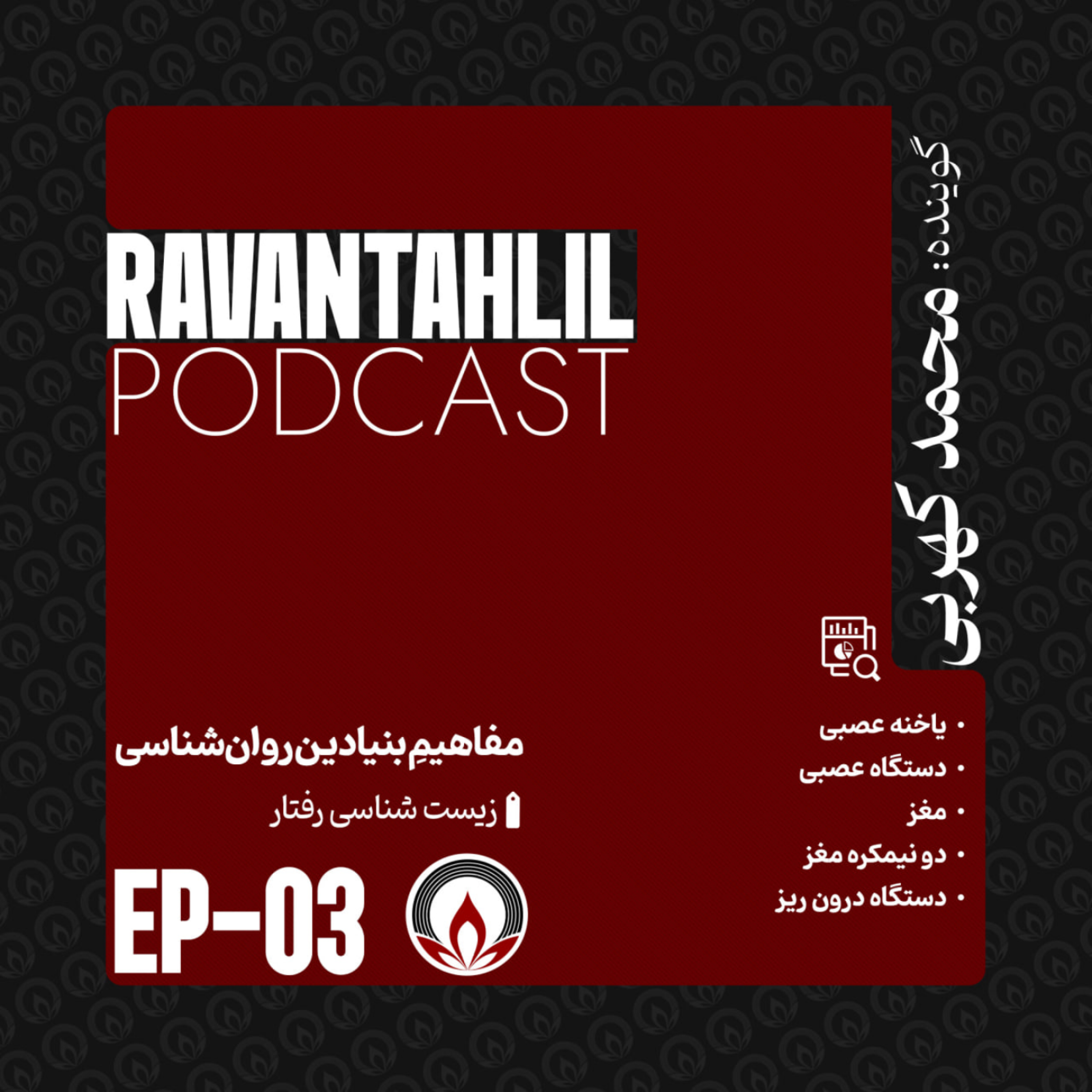 03 - زیست‌شناسی رفتار: آیا مغز جایگاه زندگی روانی است؟