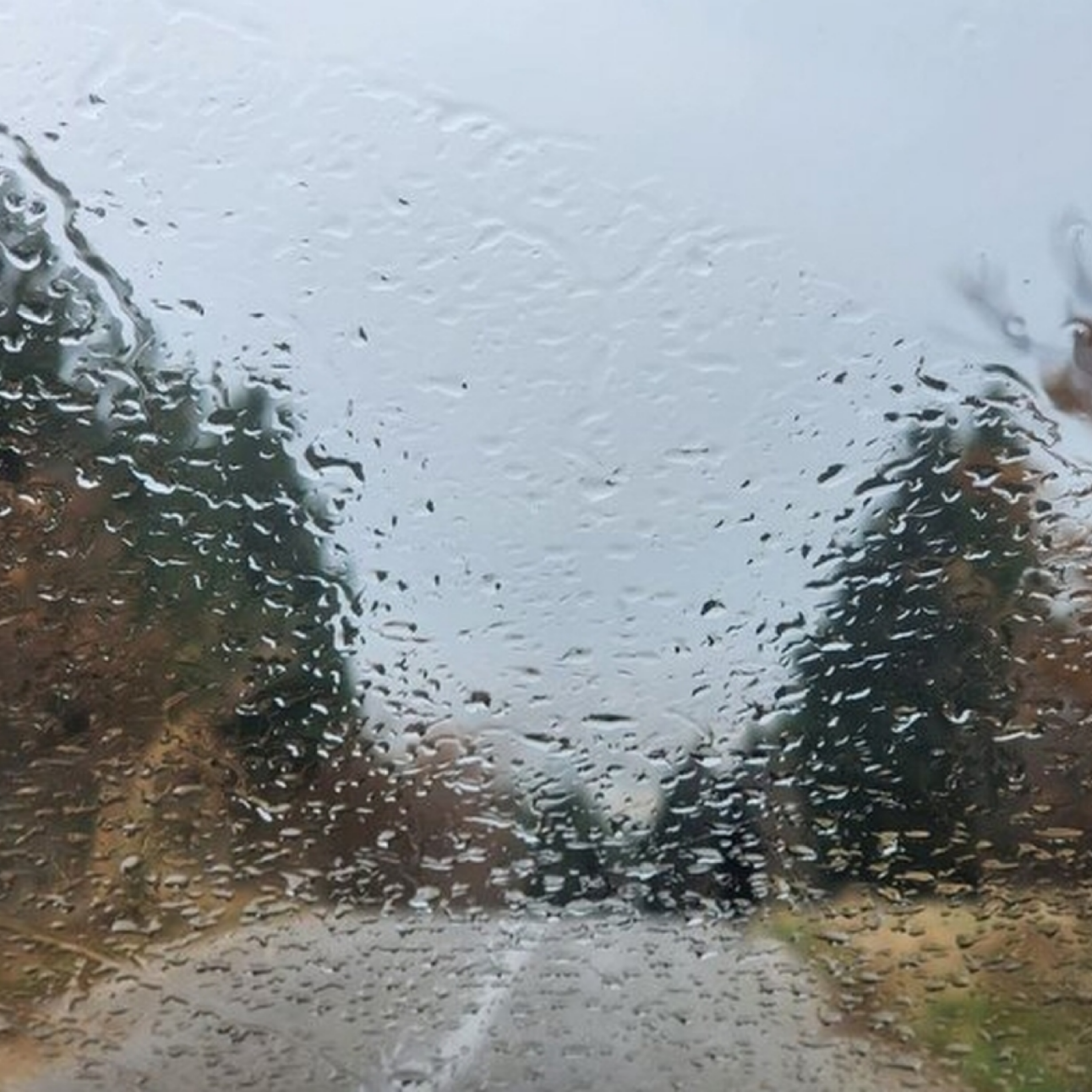 کاور معنای عشق