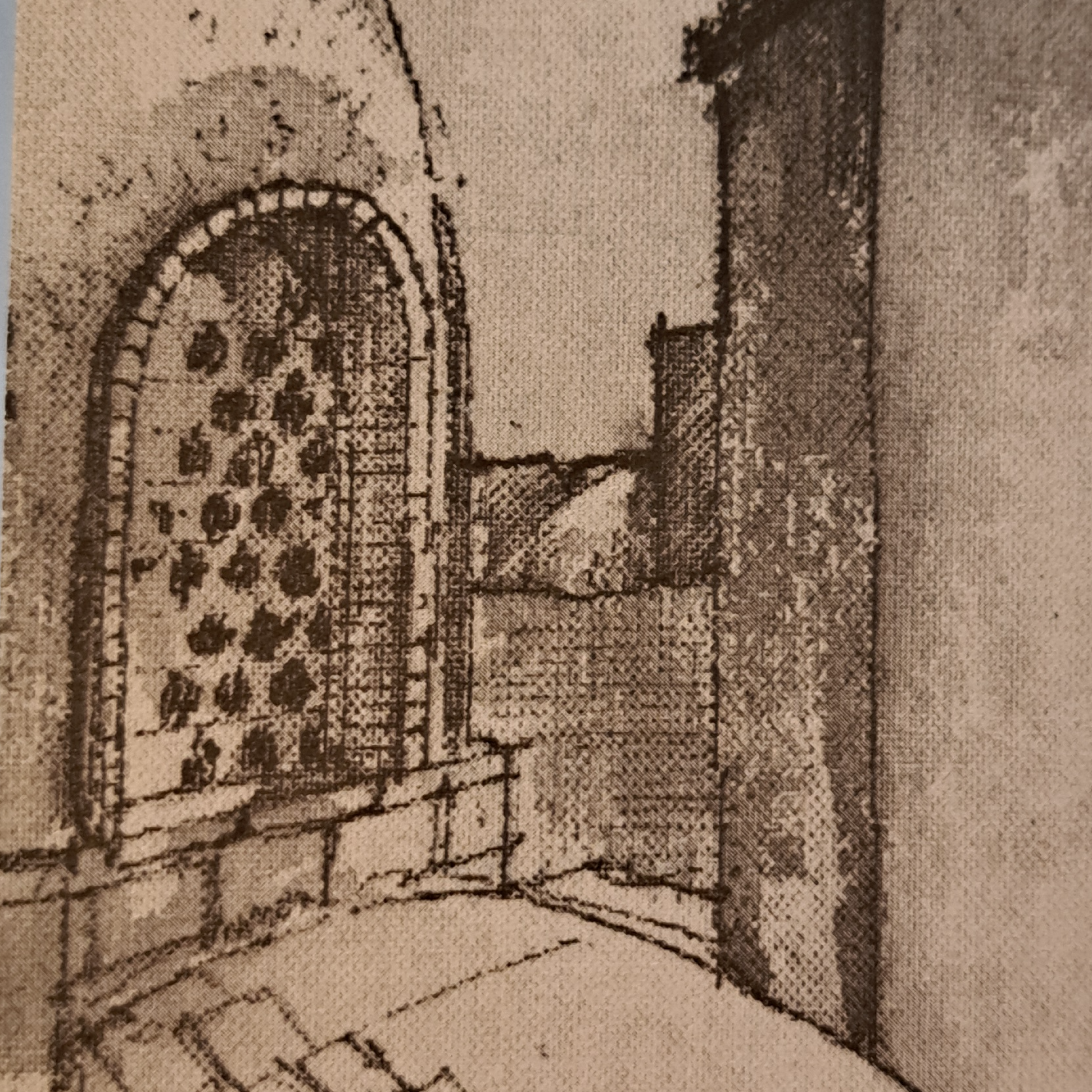 کاور شیراز