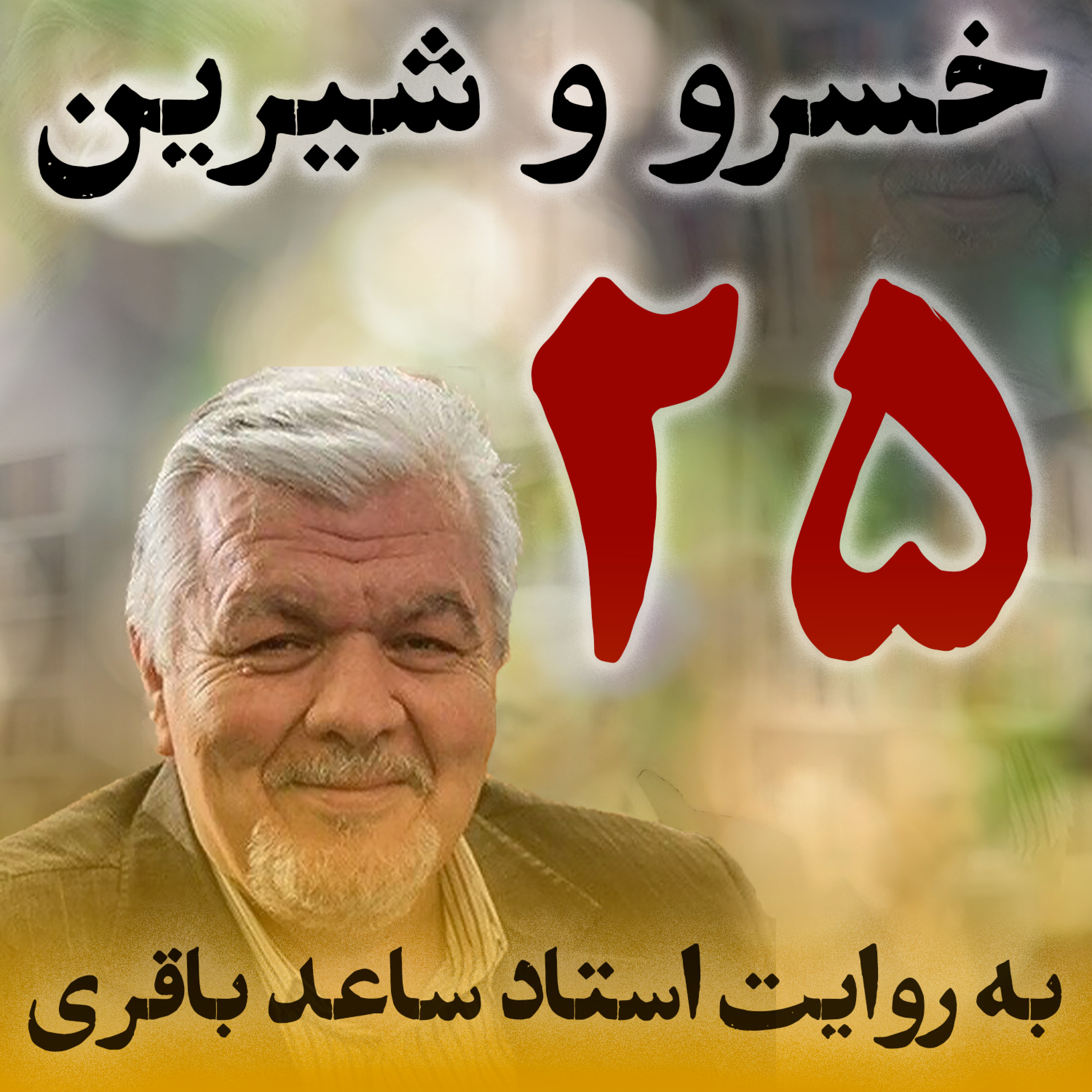 قسمت بیست‌وپنجم