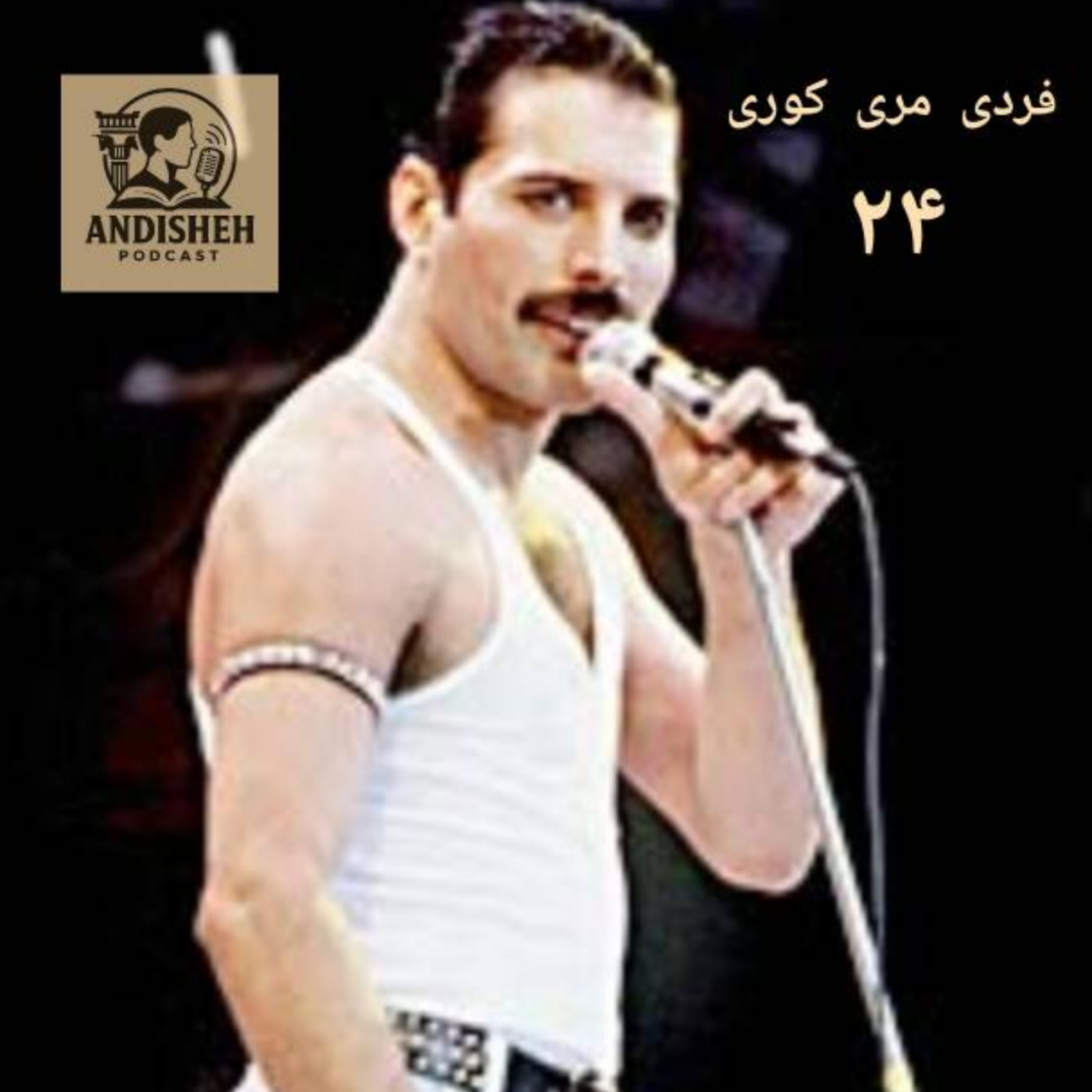 صدای جاویدان داستان زندگی فردی مری کوری