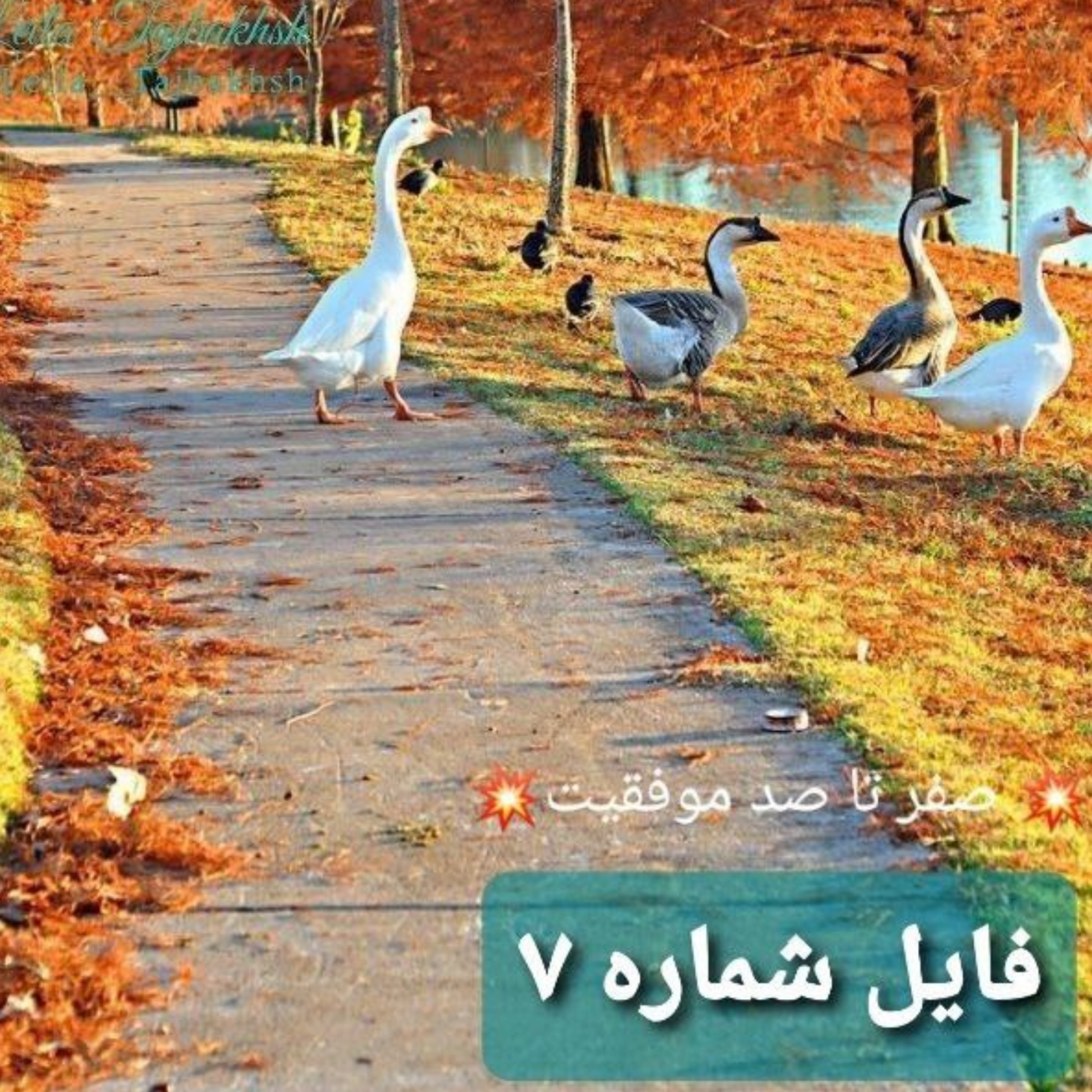 کاور سندرم اردک