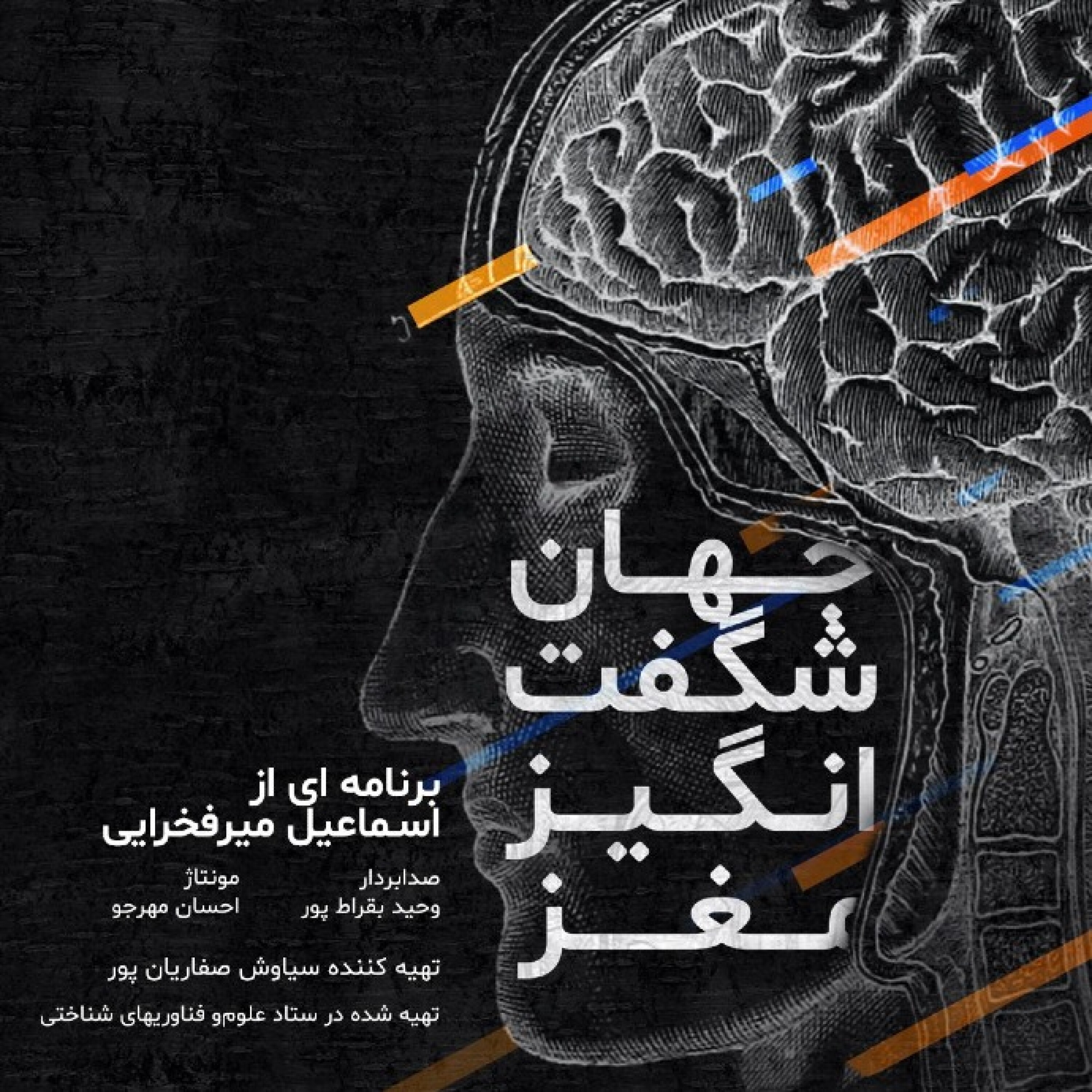 آیا ضعیف شدن حافظه در هنگام افزایش سن نشانهای از آلزایمر است؟