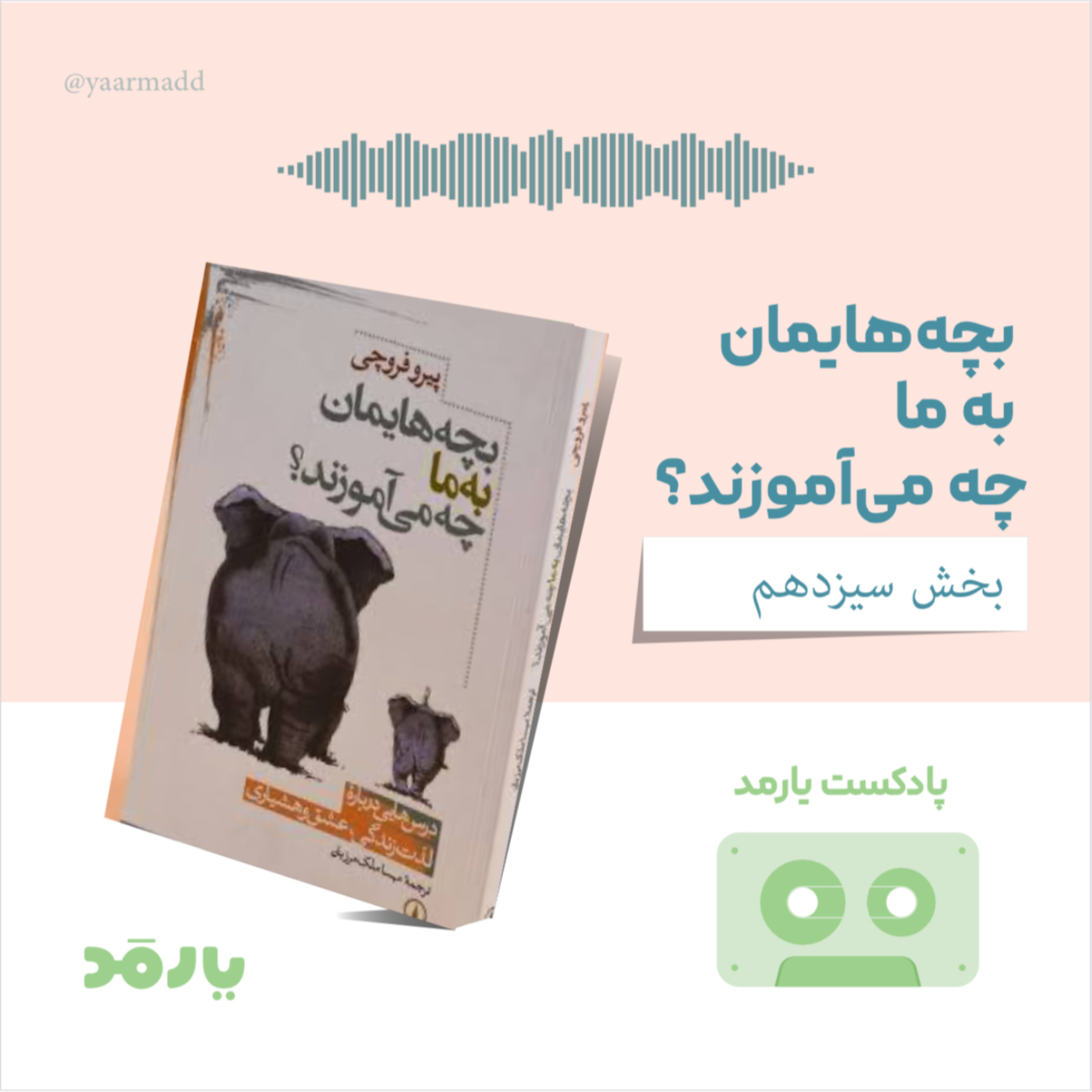 کاور ۱۳- ارادهداشتن