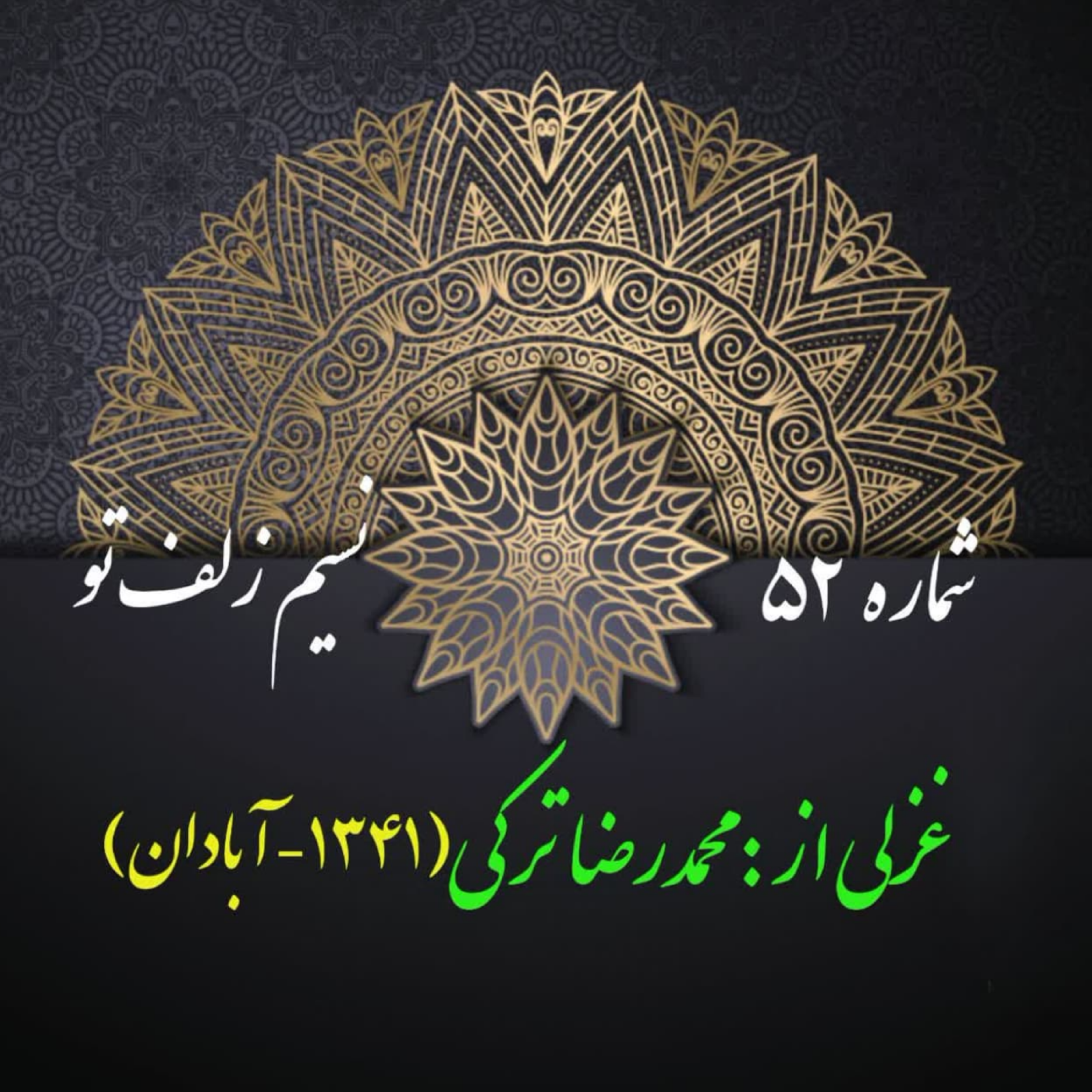 کاور شمارۀ 52 - غزلی از محمدرضا ترکی