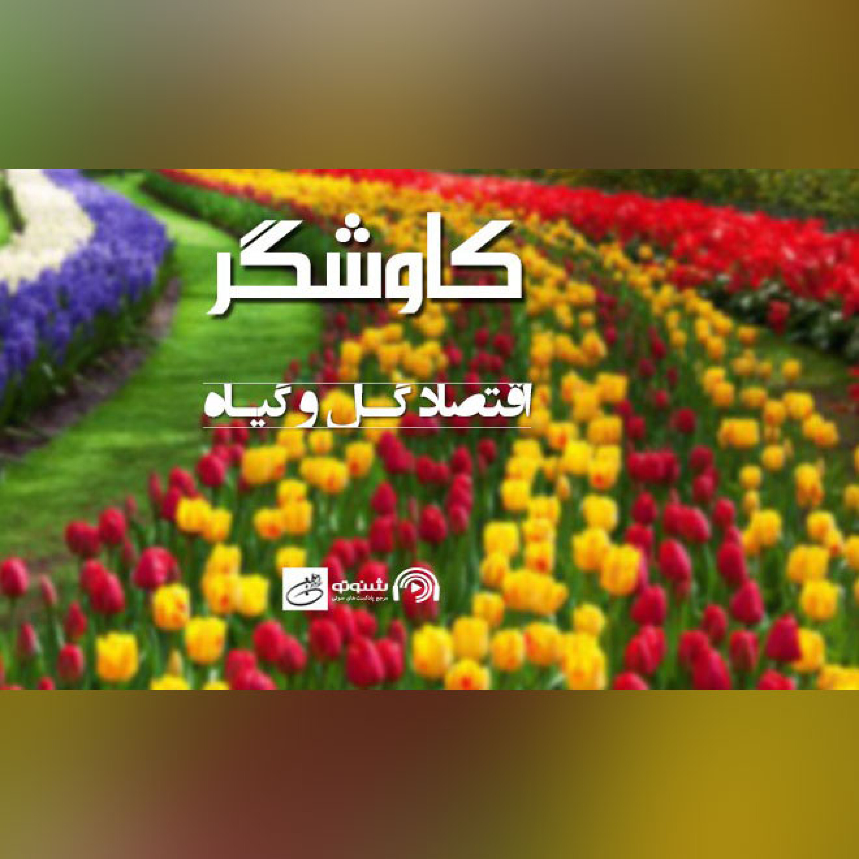 اقتصاد گل و گیاه(کاوشگر)