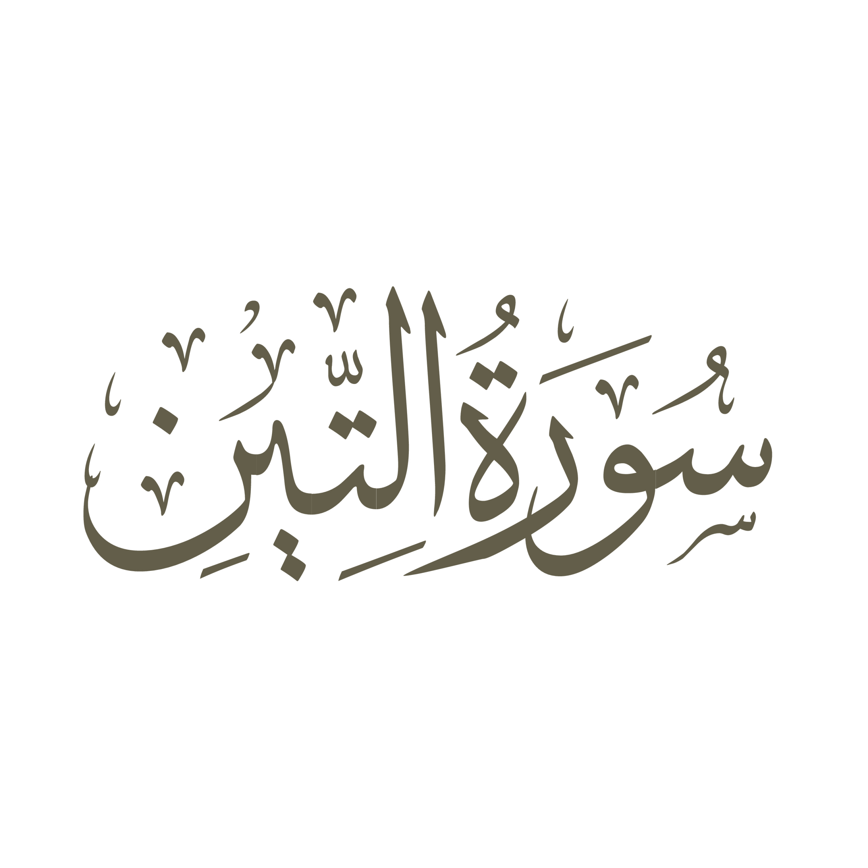 کاور تفسیر صوتی سوره تین