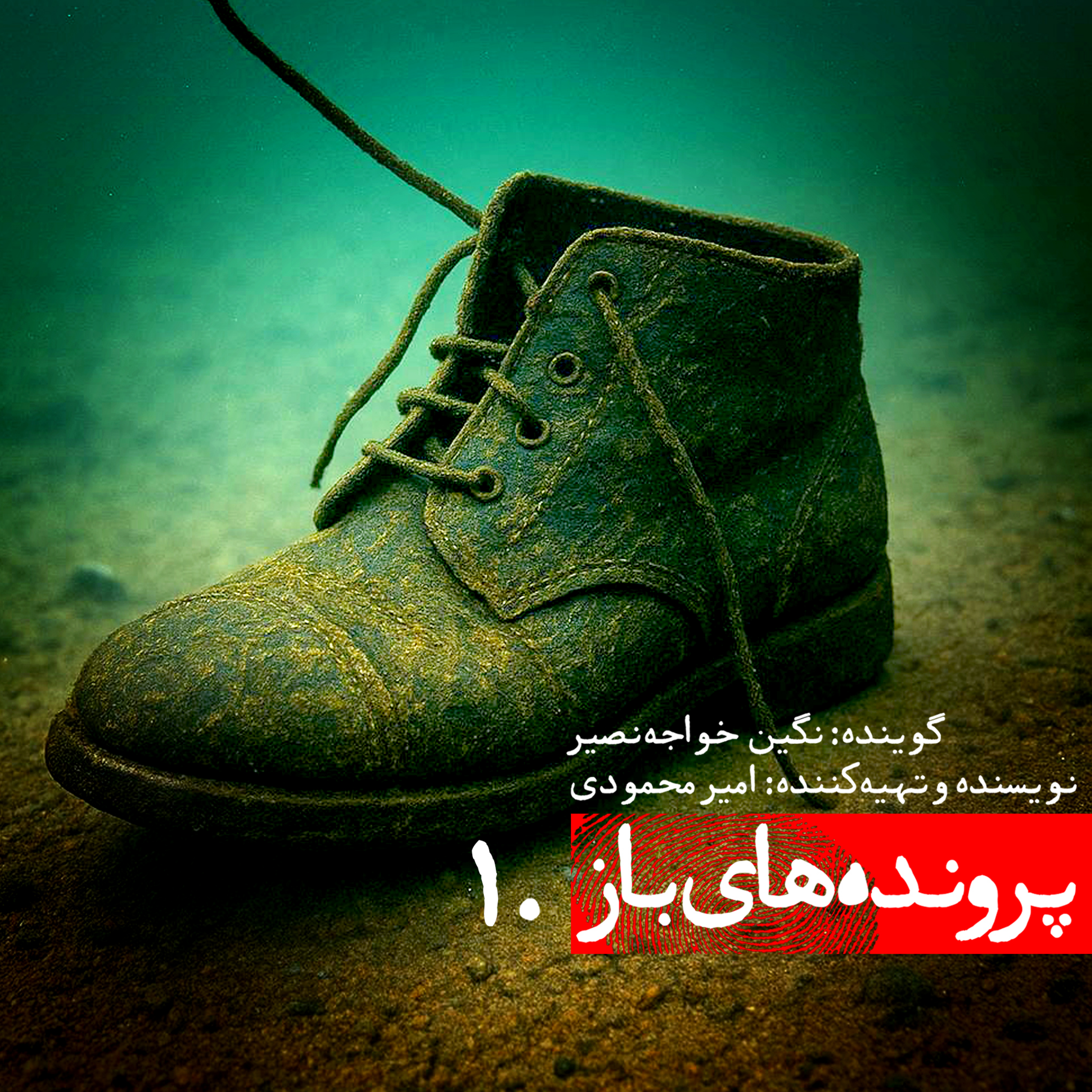 کاور راز کفشهای دریای سالیش